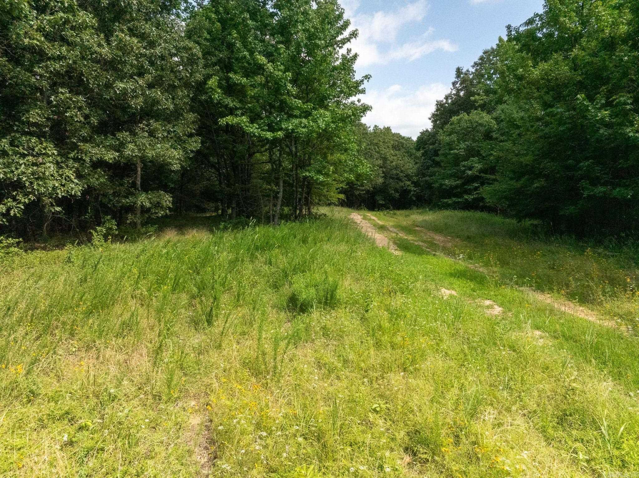 TBD Greene 324  Bono, AR