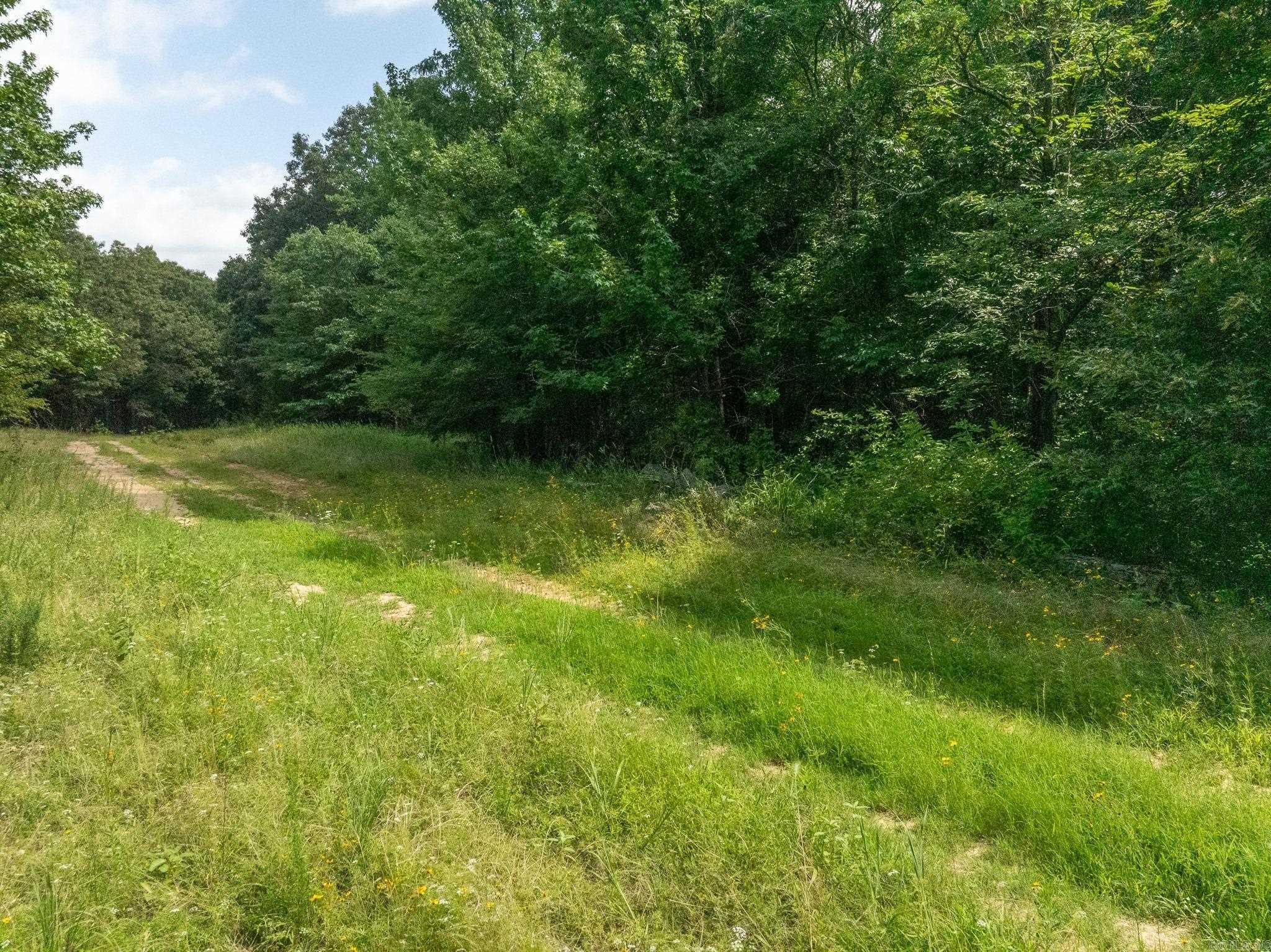 TBD Greene 324  Bono, AR