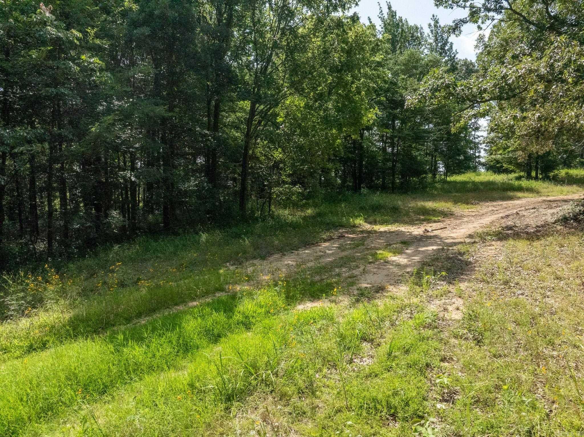 TBD Greene 324  Bono, AR