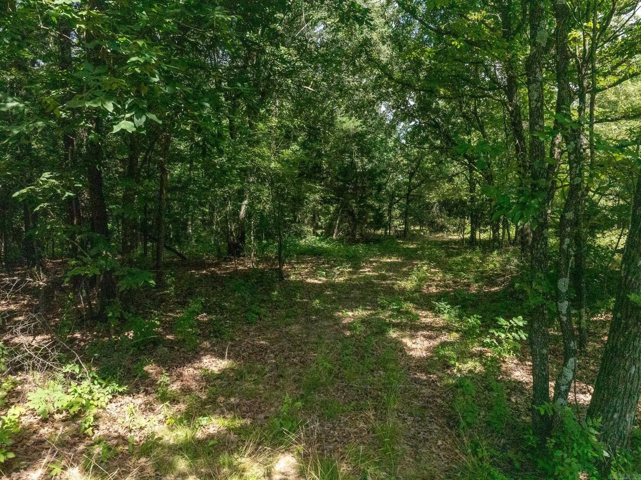TBD Greene 324  Bono, AR