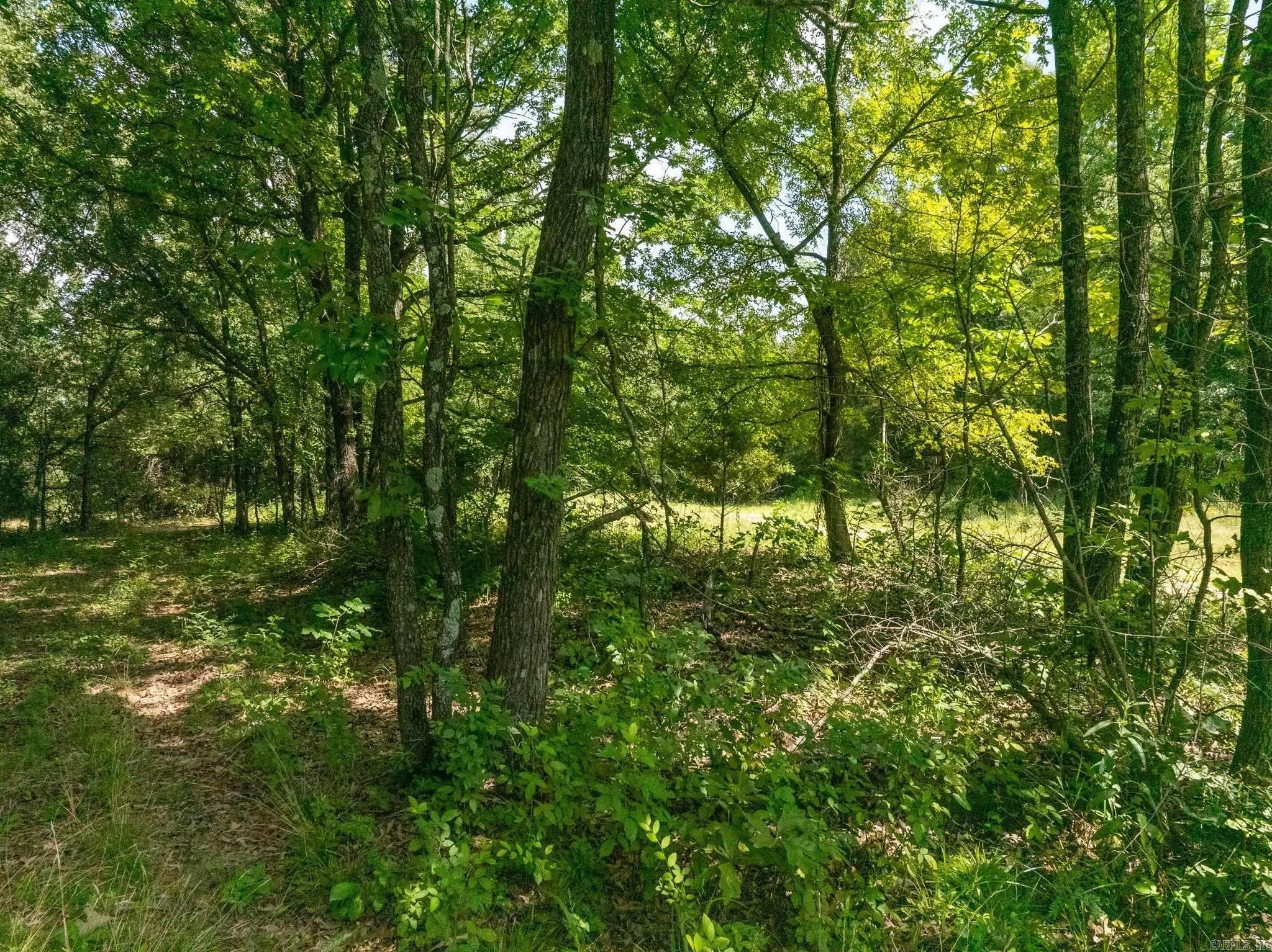 TBD Greene 324  Bono, AR