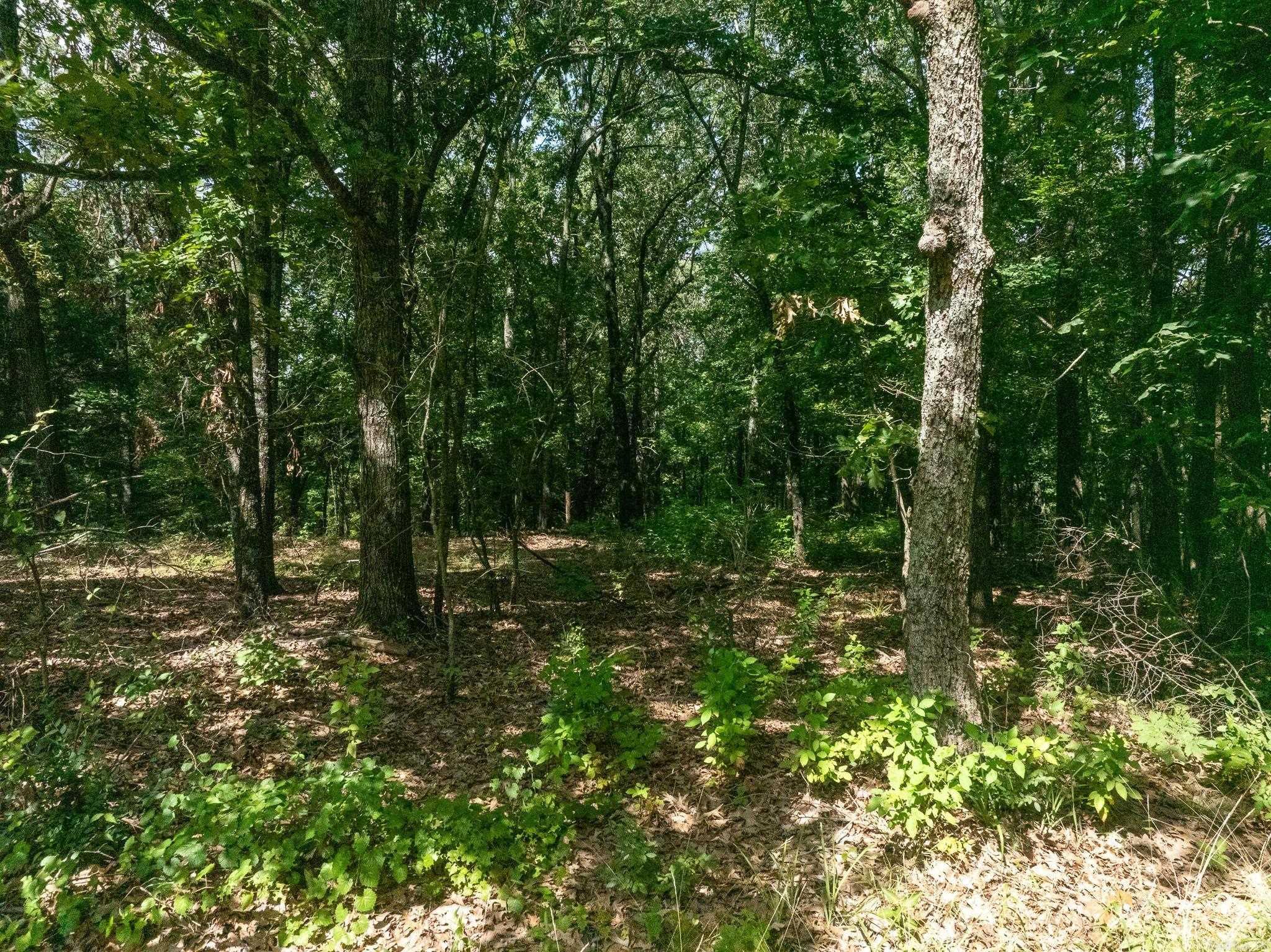 TBD Greene 324  Bono, AR