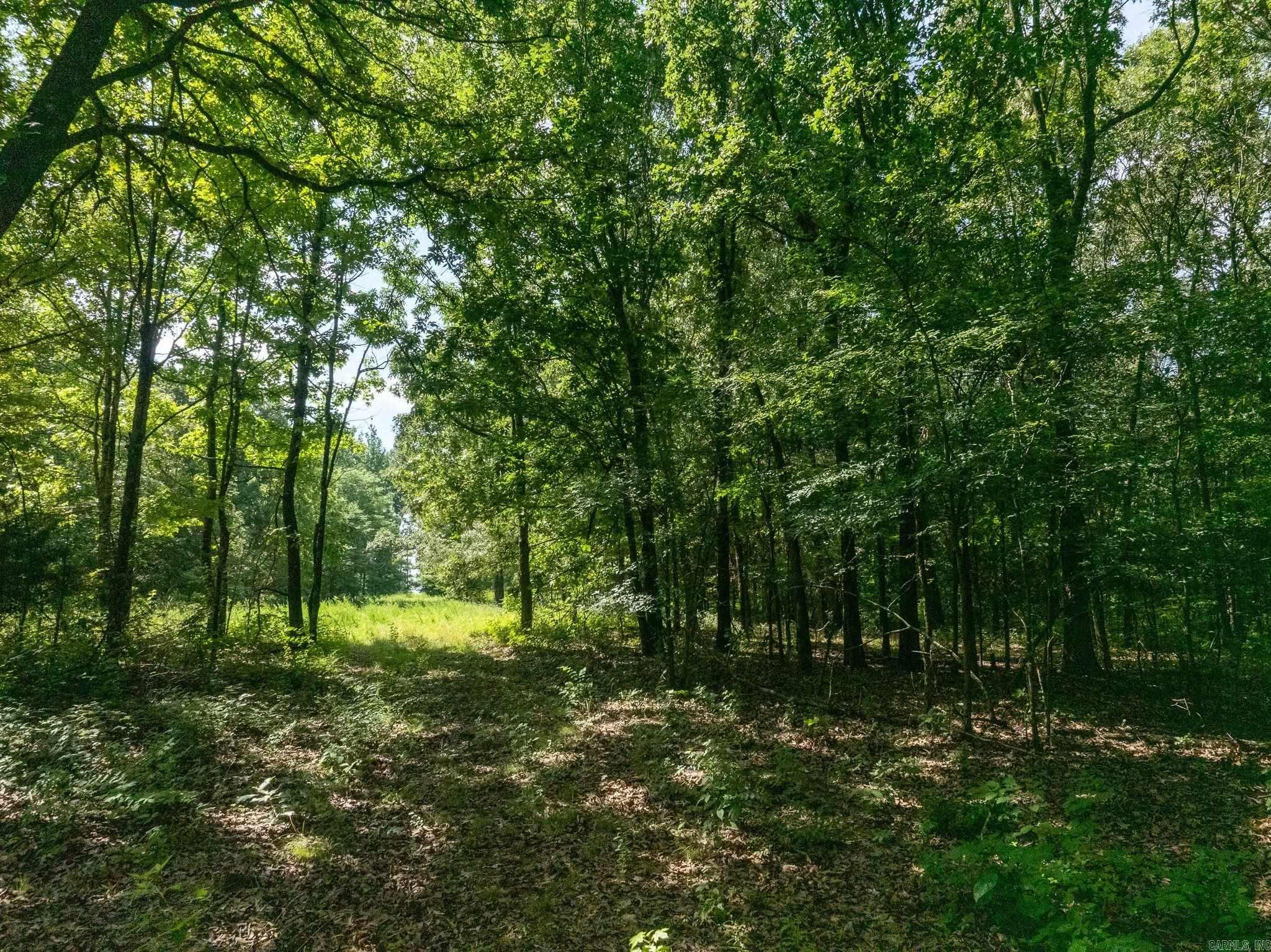 TBD Greene 324  Bono, AR