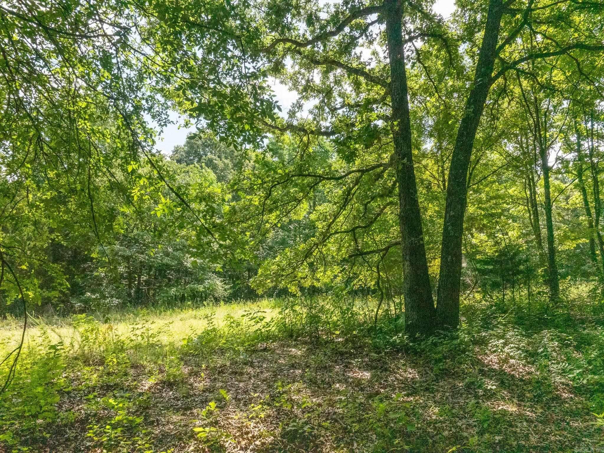 TBD Greene 324  Bono, AR