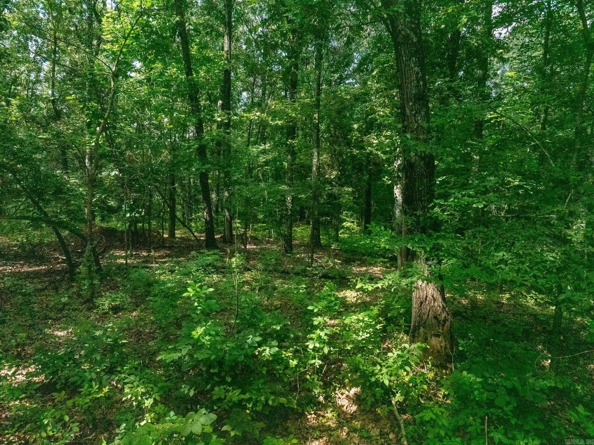 TBD Greene 324  Bono, AR