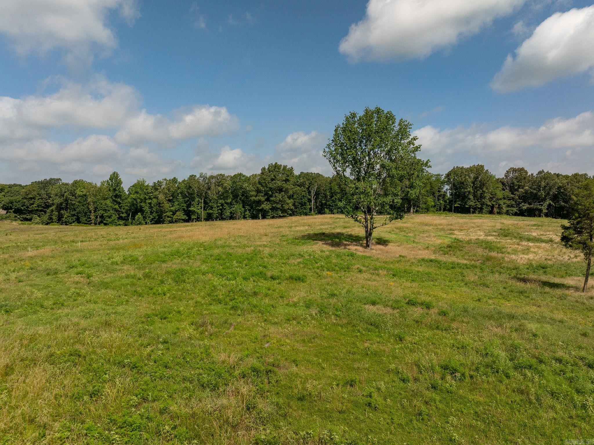 TBD Greene 324  Bono, AR