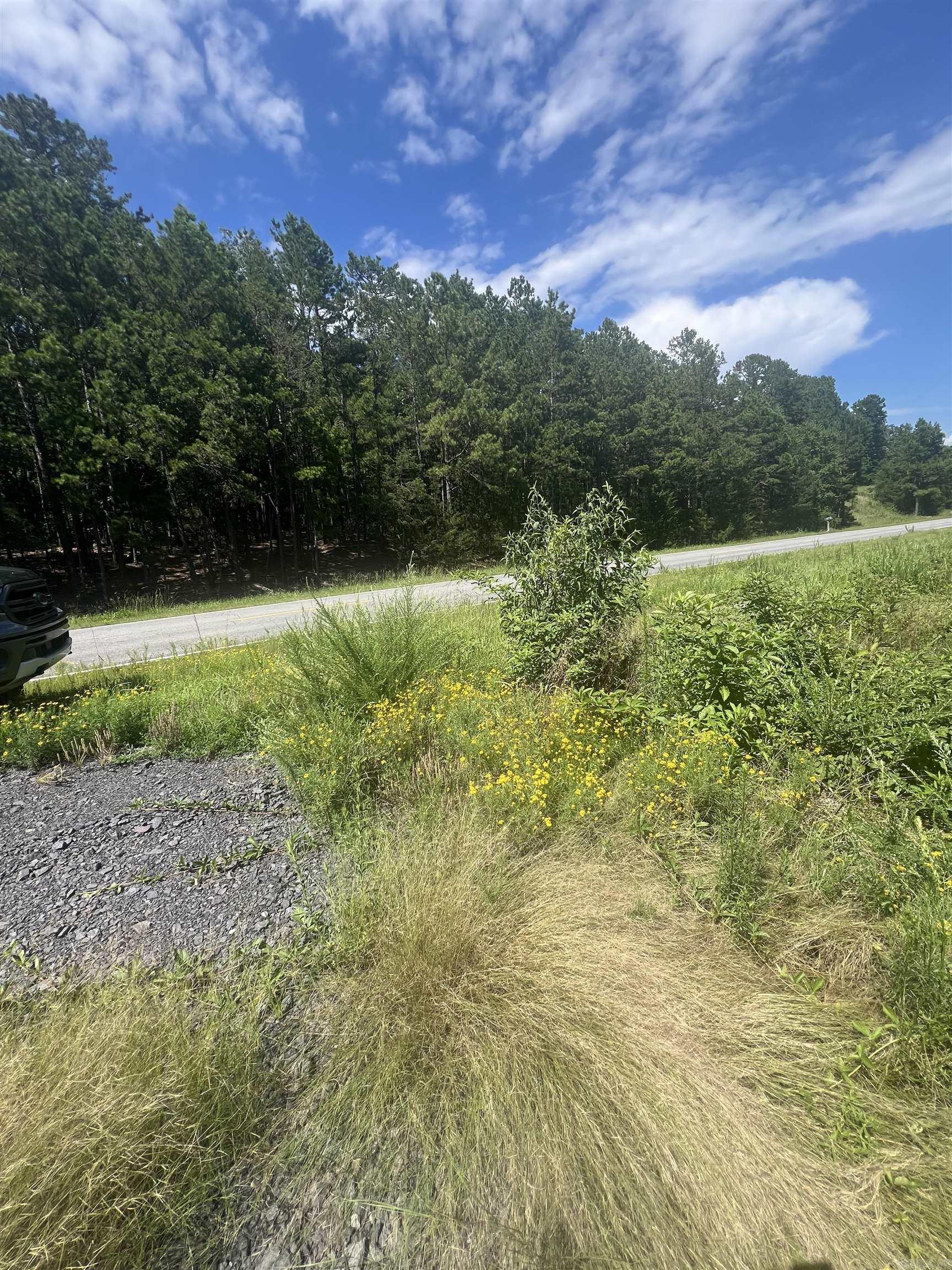 0000 The New Road  Shirley, AR