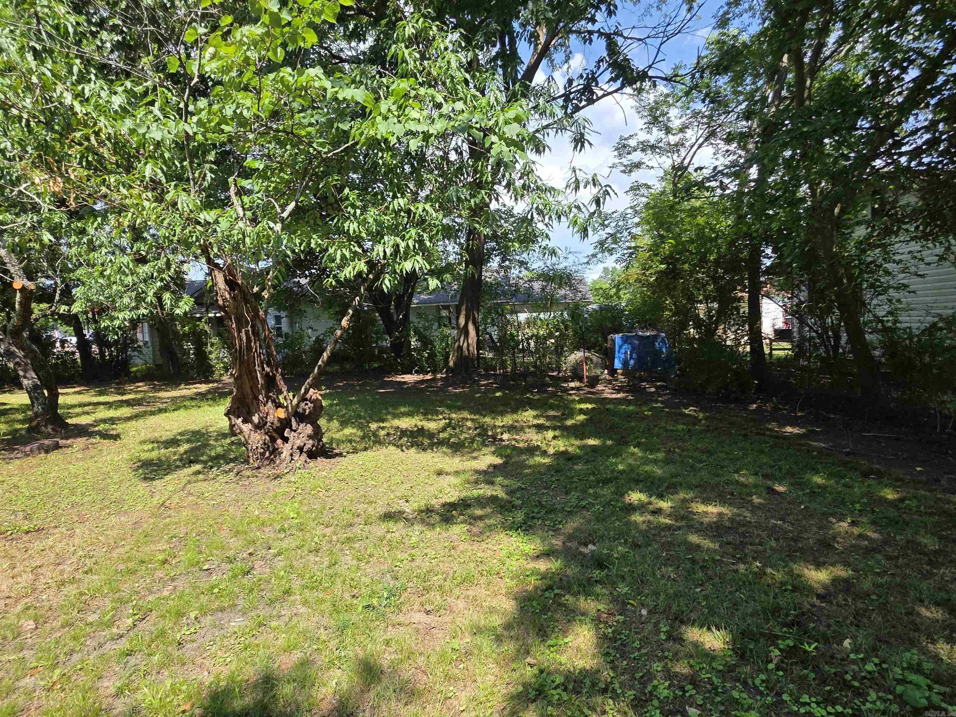 1604 Reeves  Mena, AR
