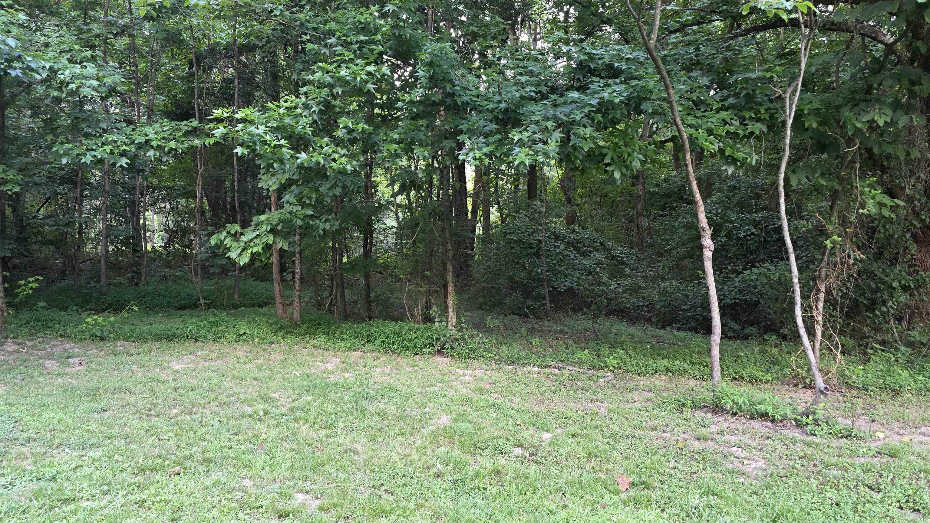 482 Greene 702 Rd  Jonesboro, AR