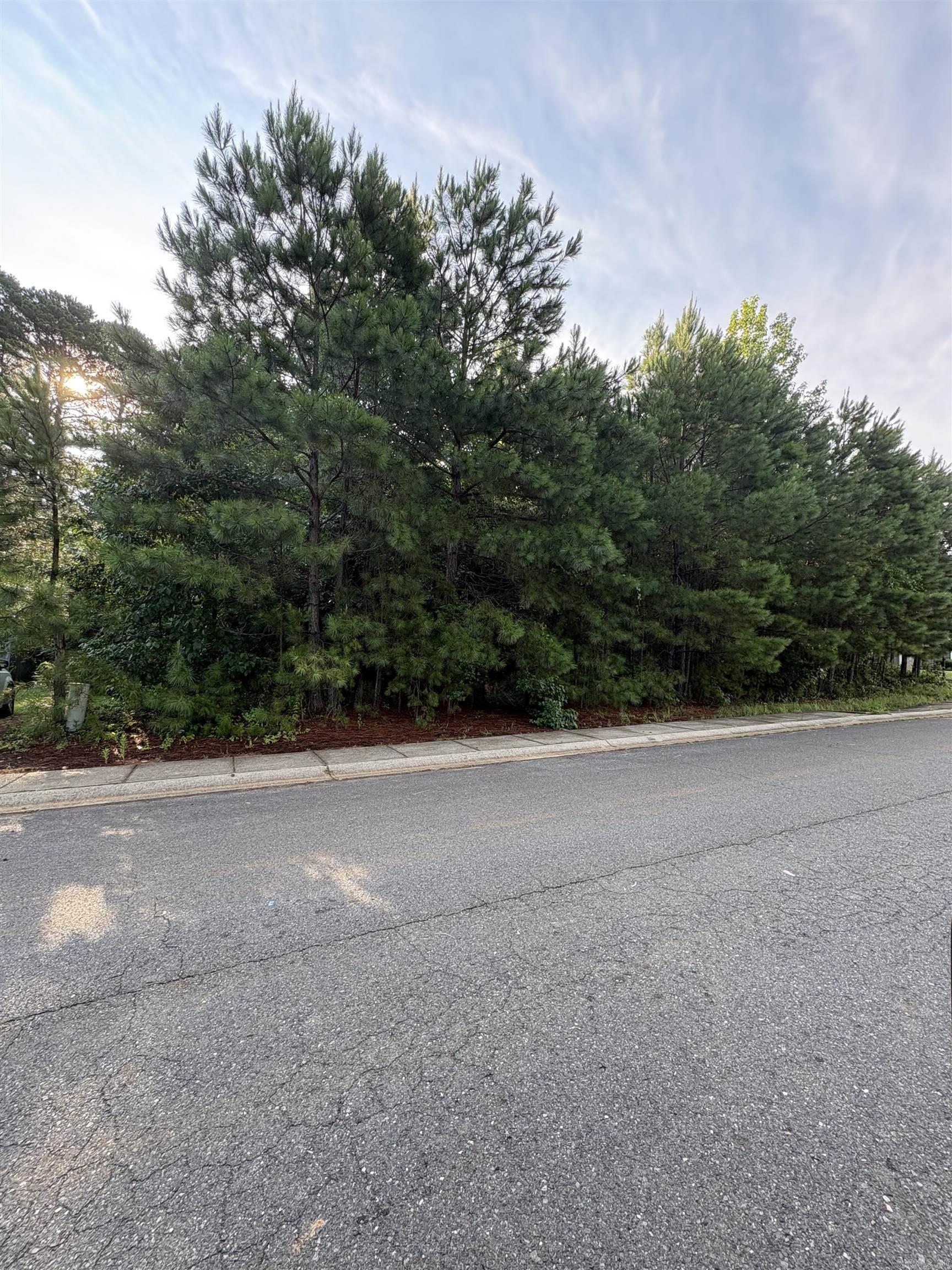 Lot 2 Somersett  Arkadelphia, AR