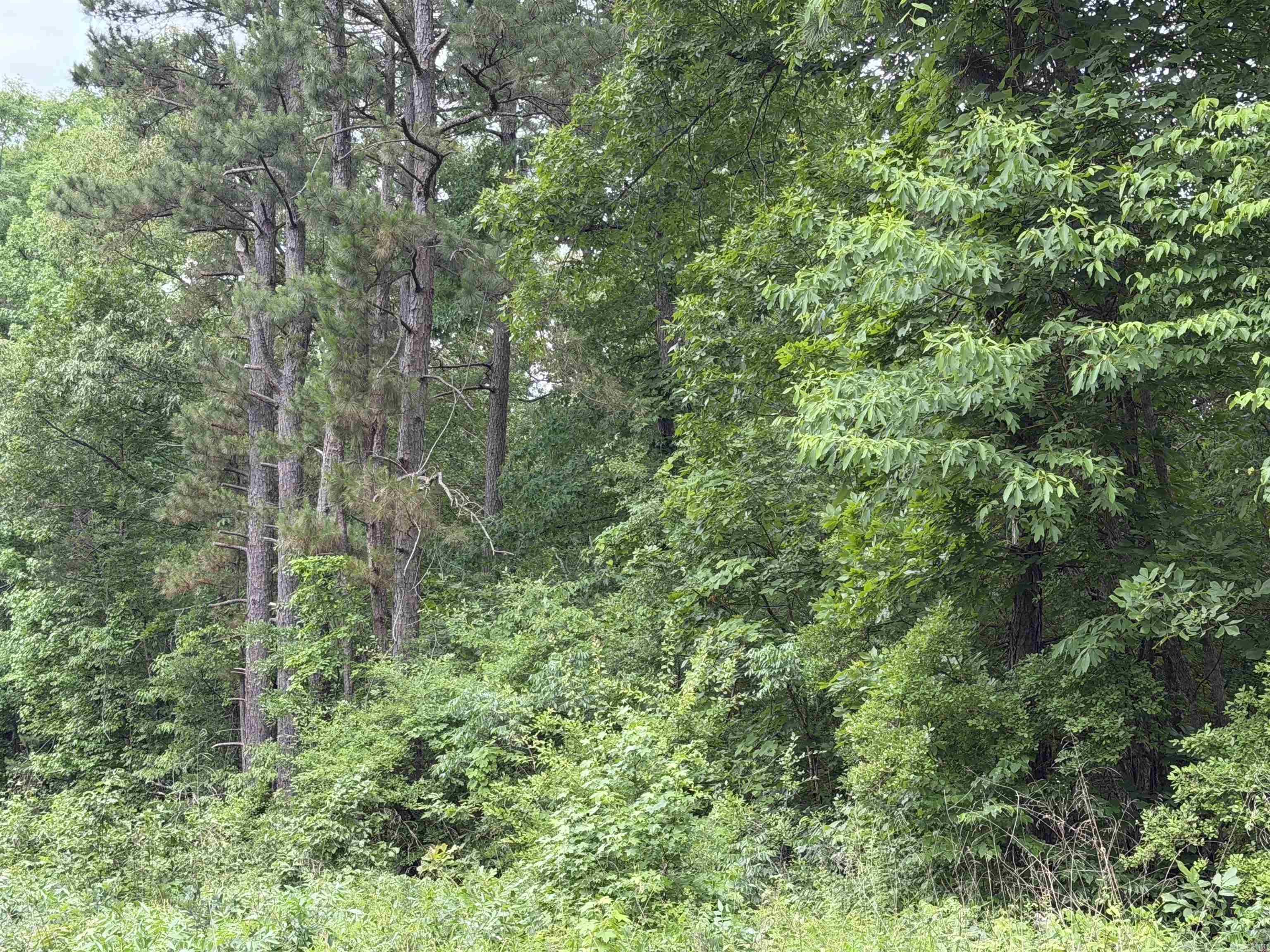 8126 Autumnwood  Mabelvale, AR