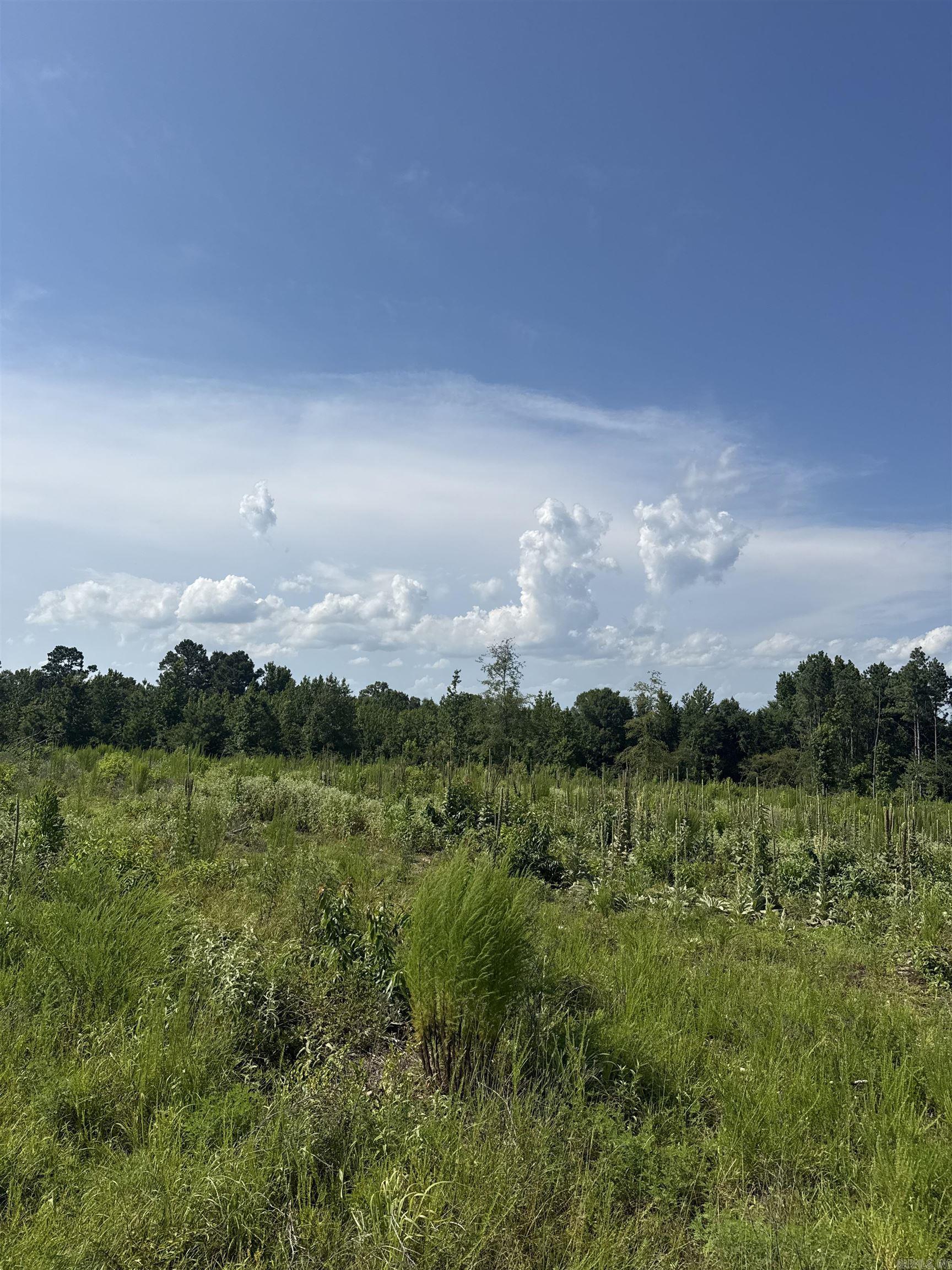 00 Nevada 251  Prescott, AR