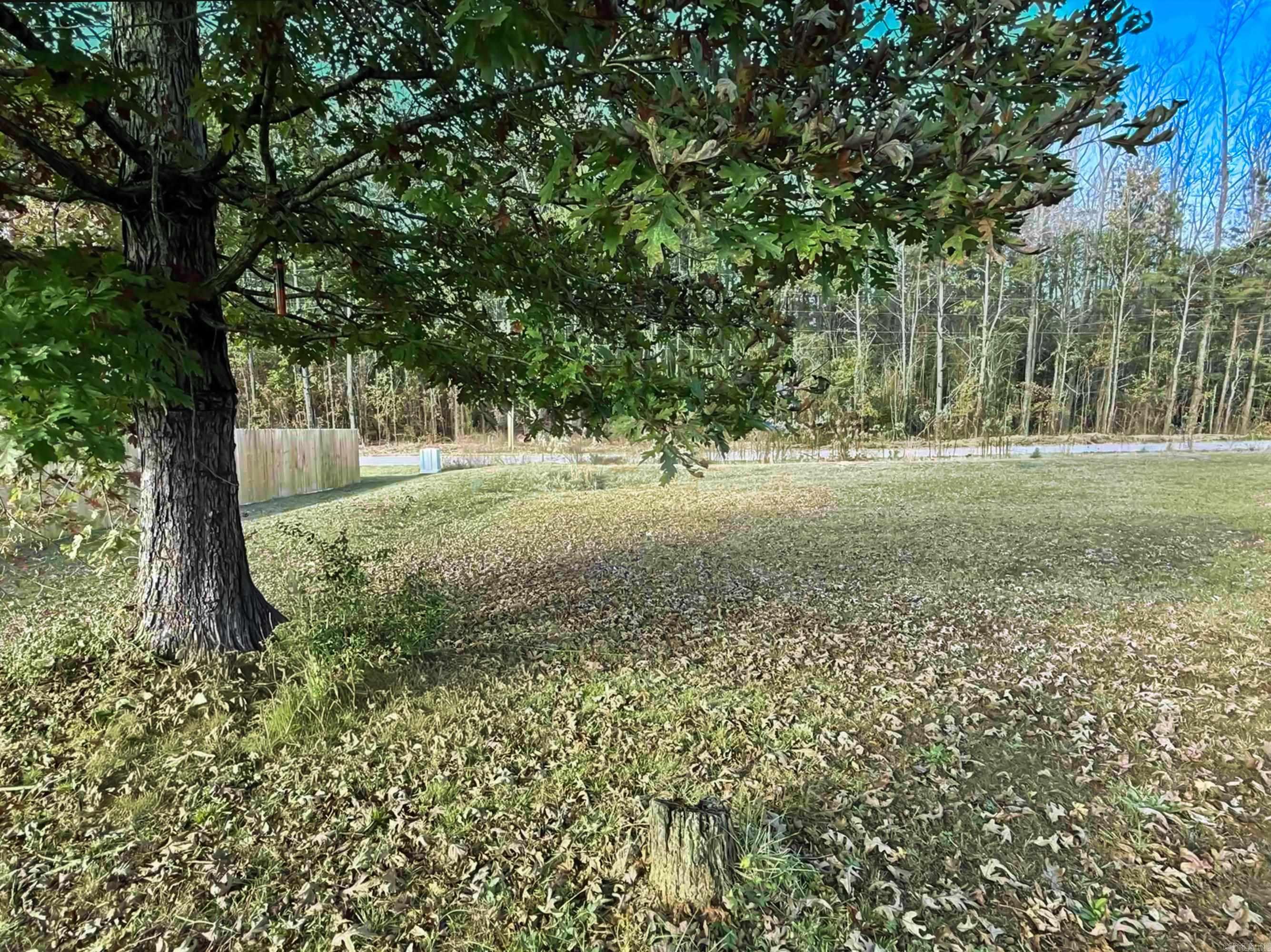 64 Horton HIlls  Sheridan, AR