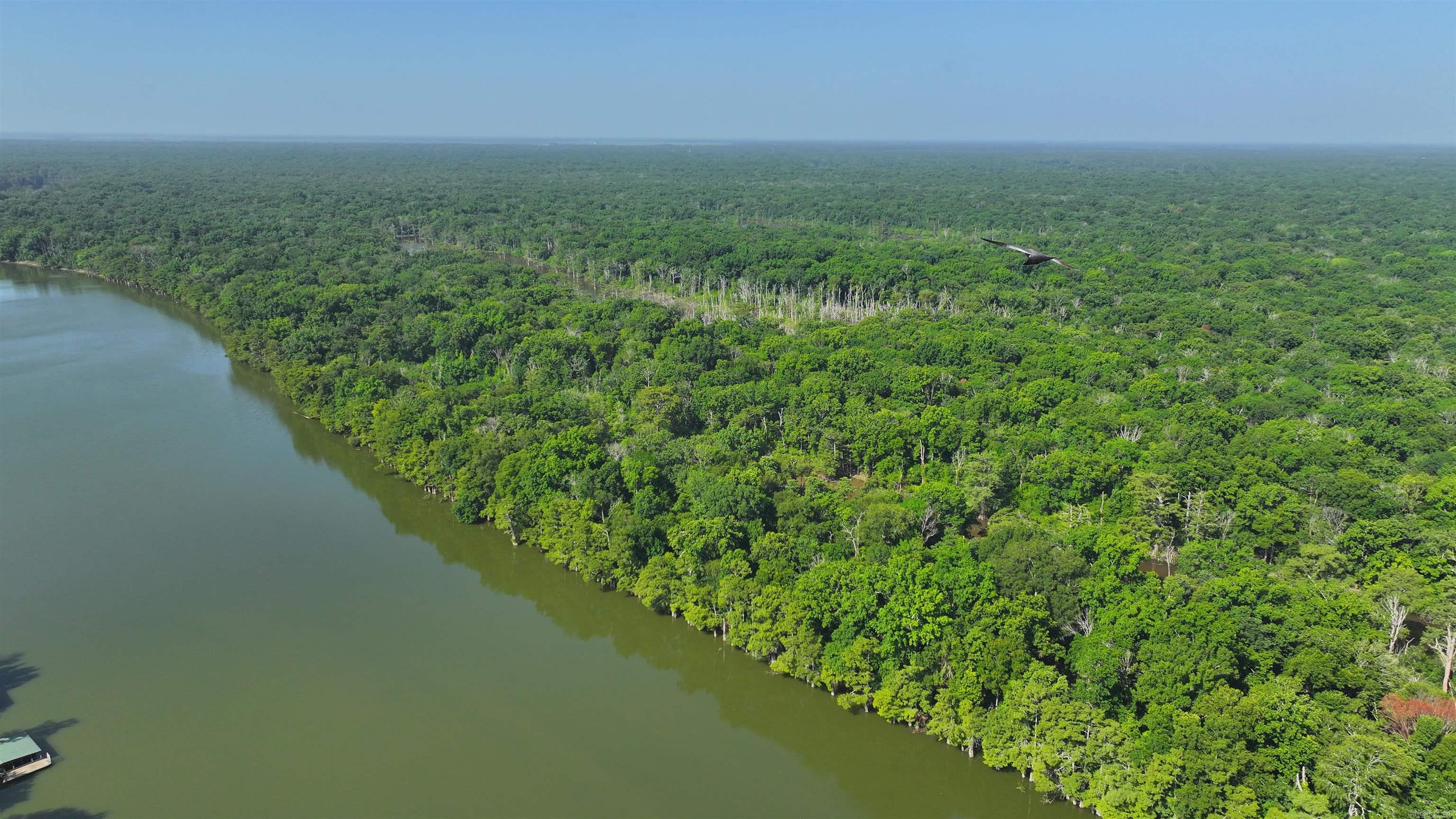 788 Lower Maddox Bay  Holly Grove, AR