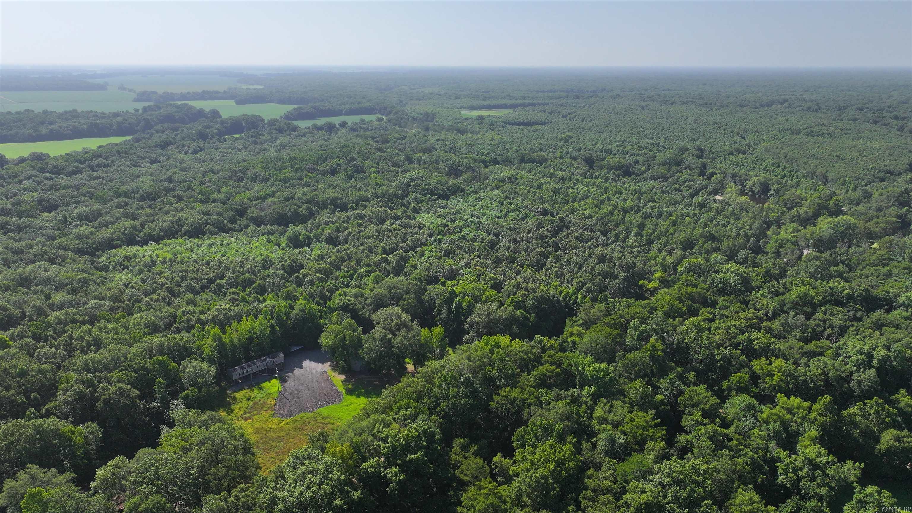 788 Lower Maddox Bay  Holly Grove, AR