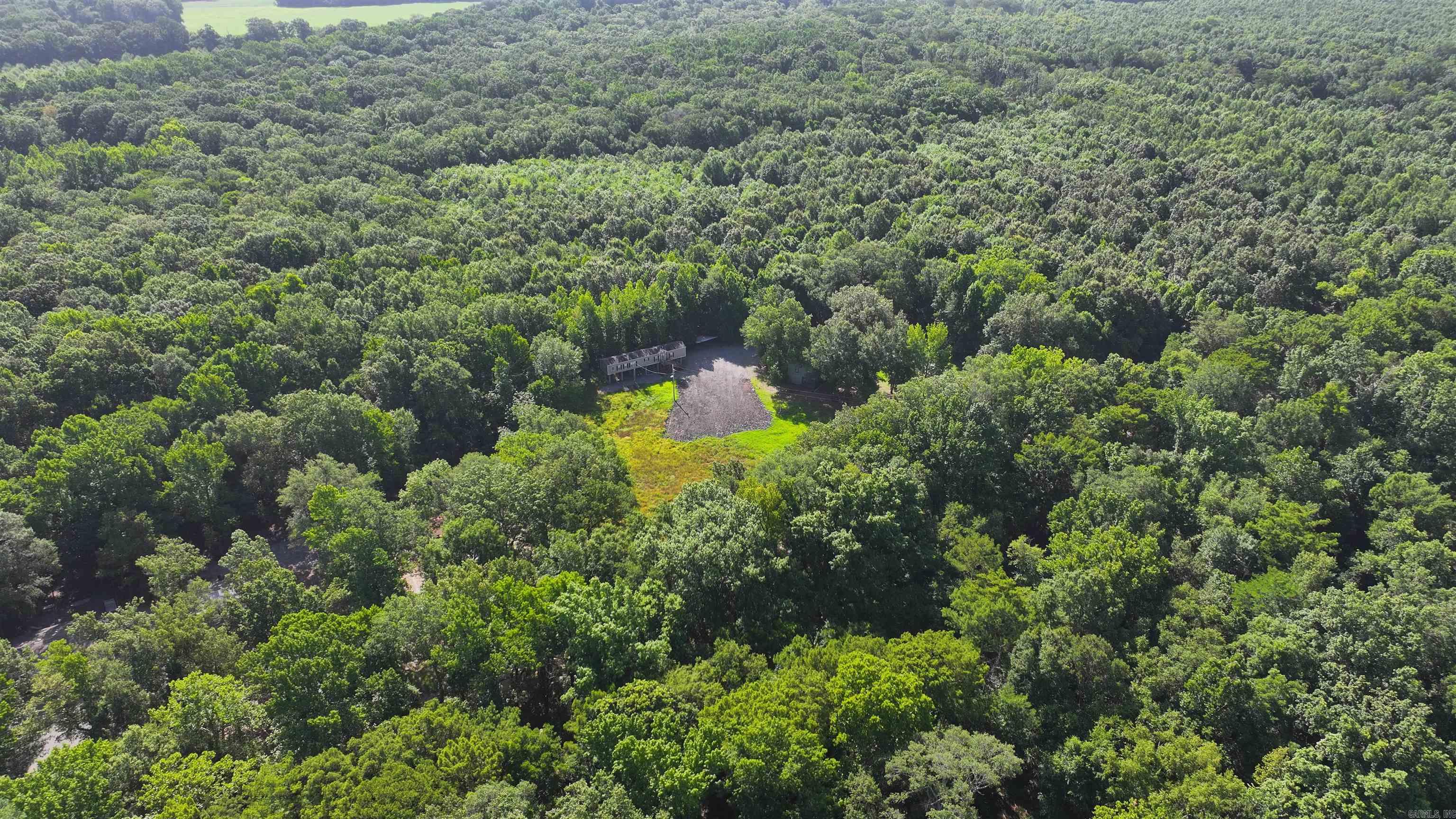 788 Lower Maddox Bay  Holly Grove, AR