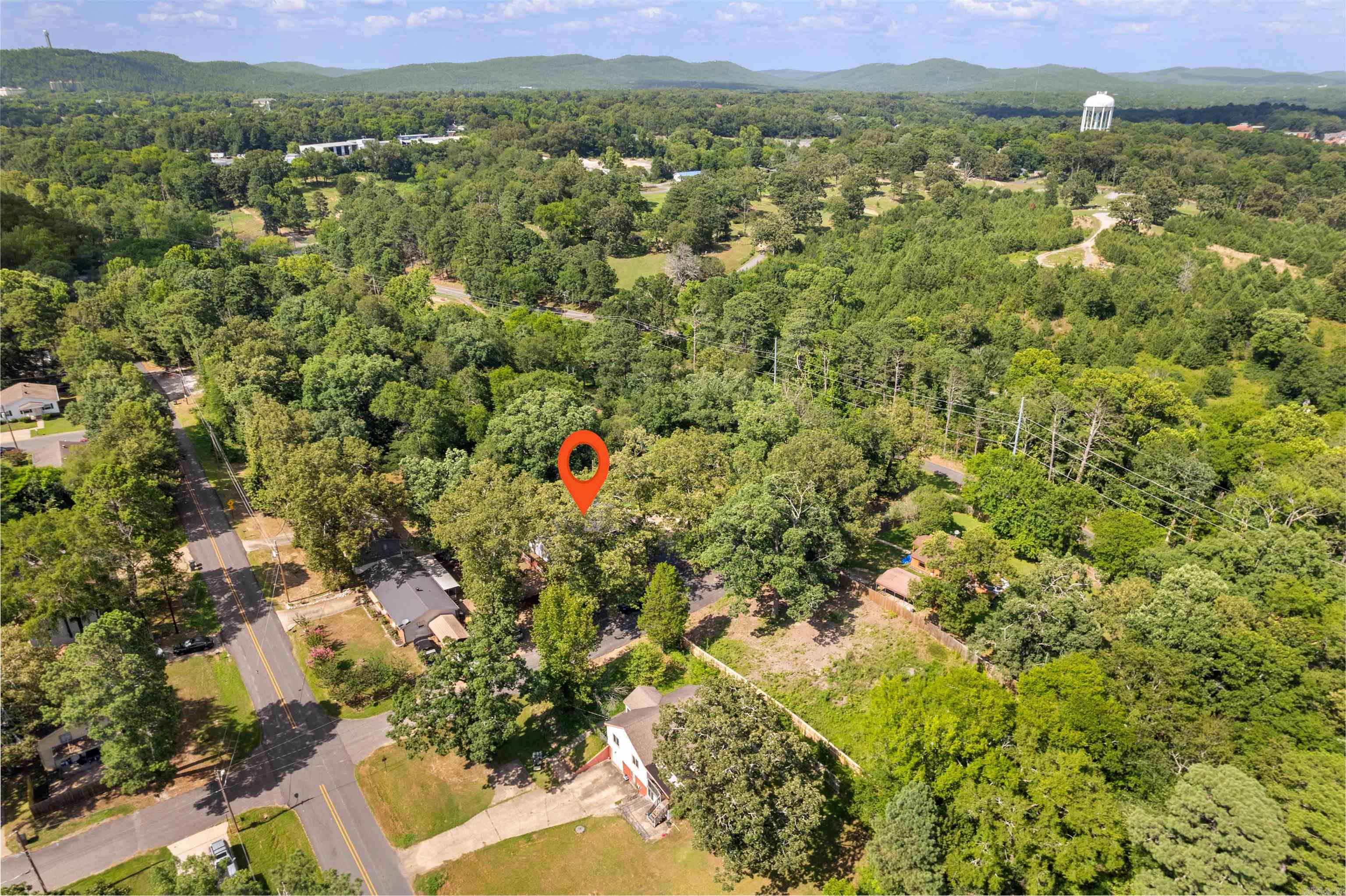 703 Euclid  Hot Springs, AR