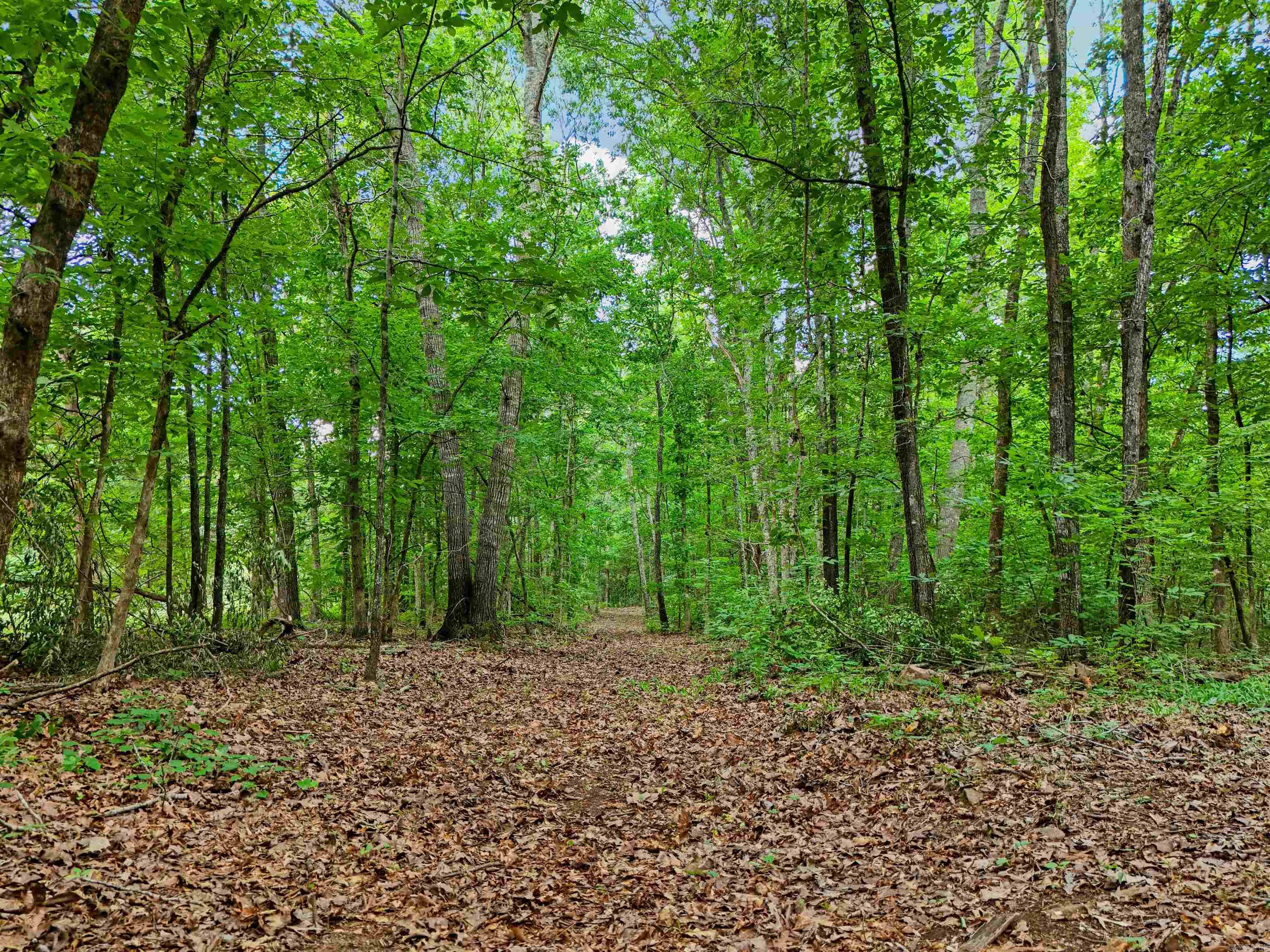 279 Carmichael  Searcy, AR
