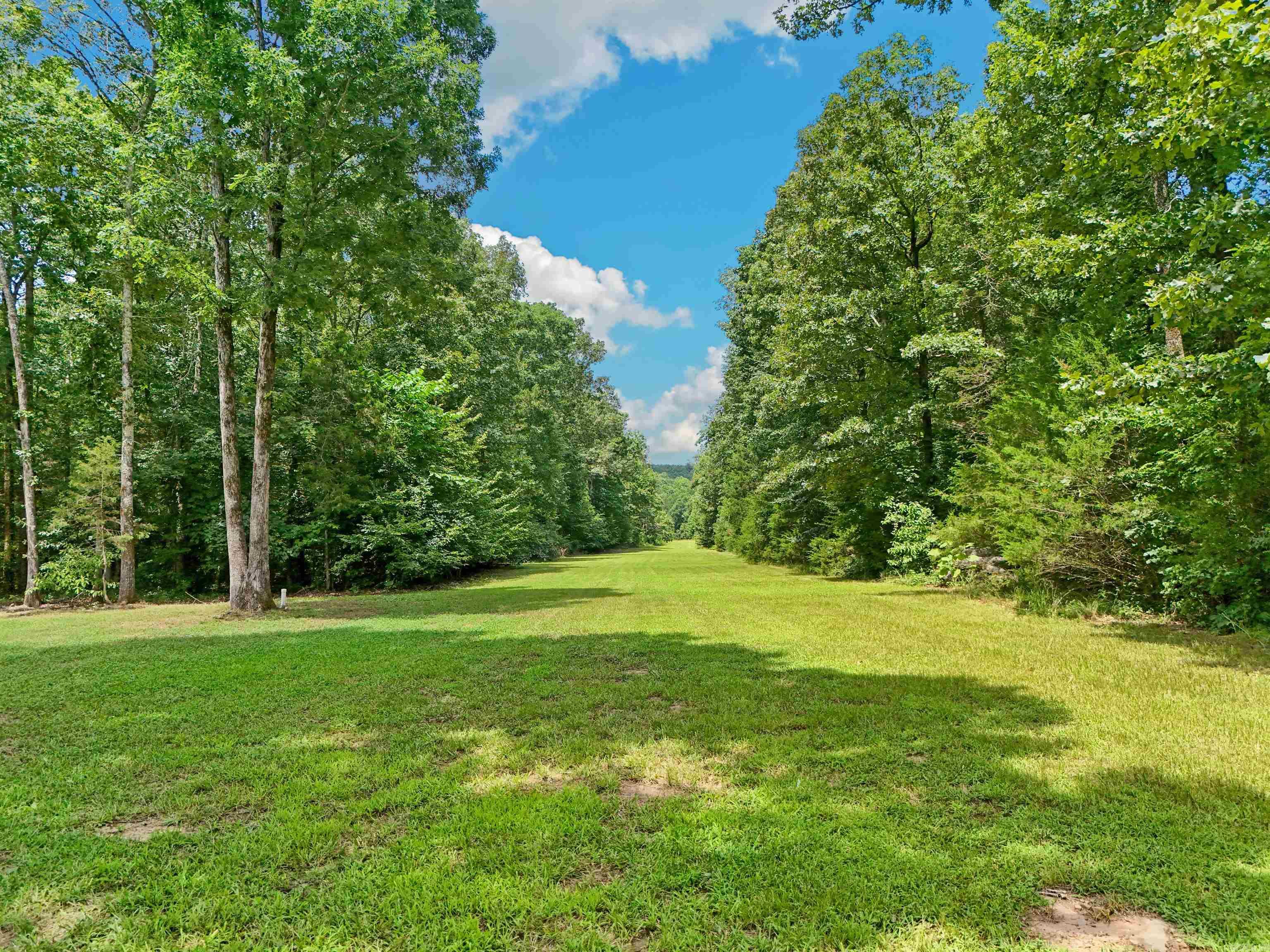 279 Carmichael  Searcy, AR