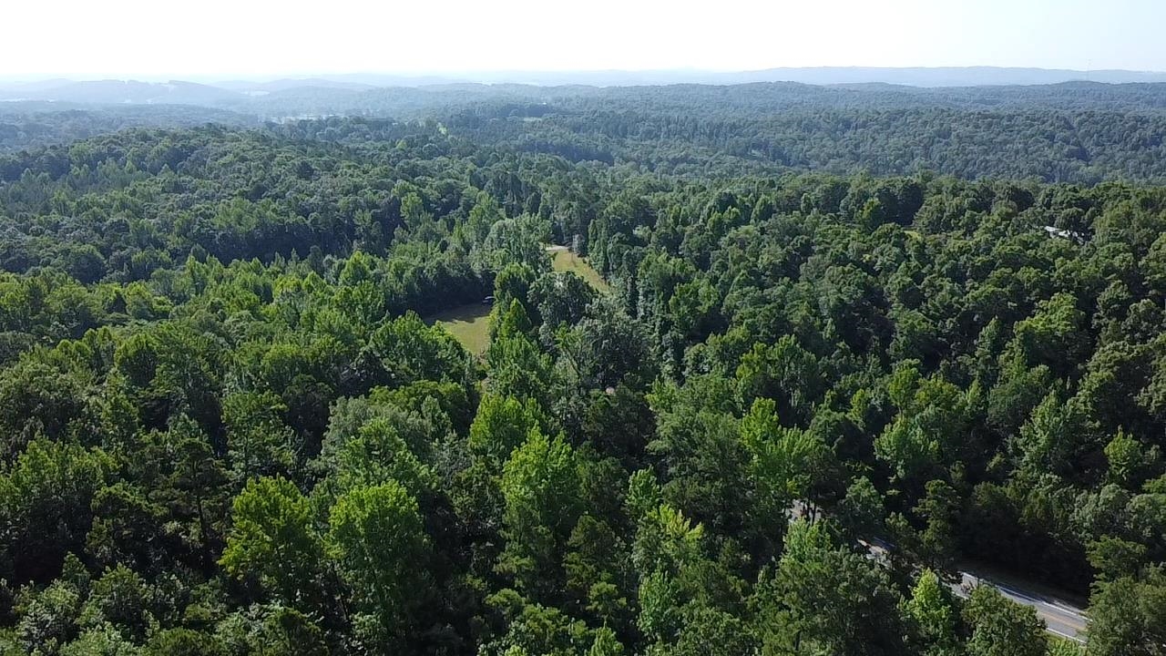 2441 S AR Hwy 9  Melbourne, AR