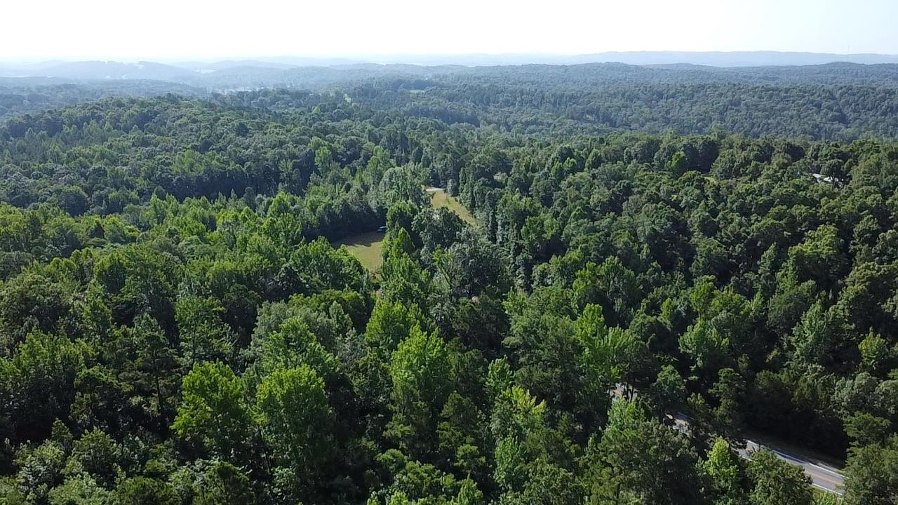 2441 S AR Hwy 9  Melbourne, AR