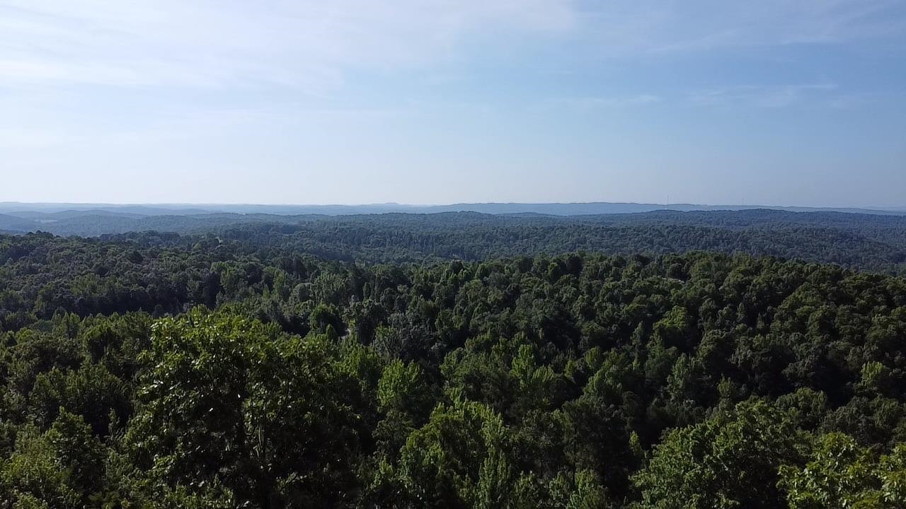 2441 S AR Hwy 9  Melbourne, AR