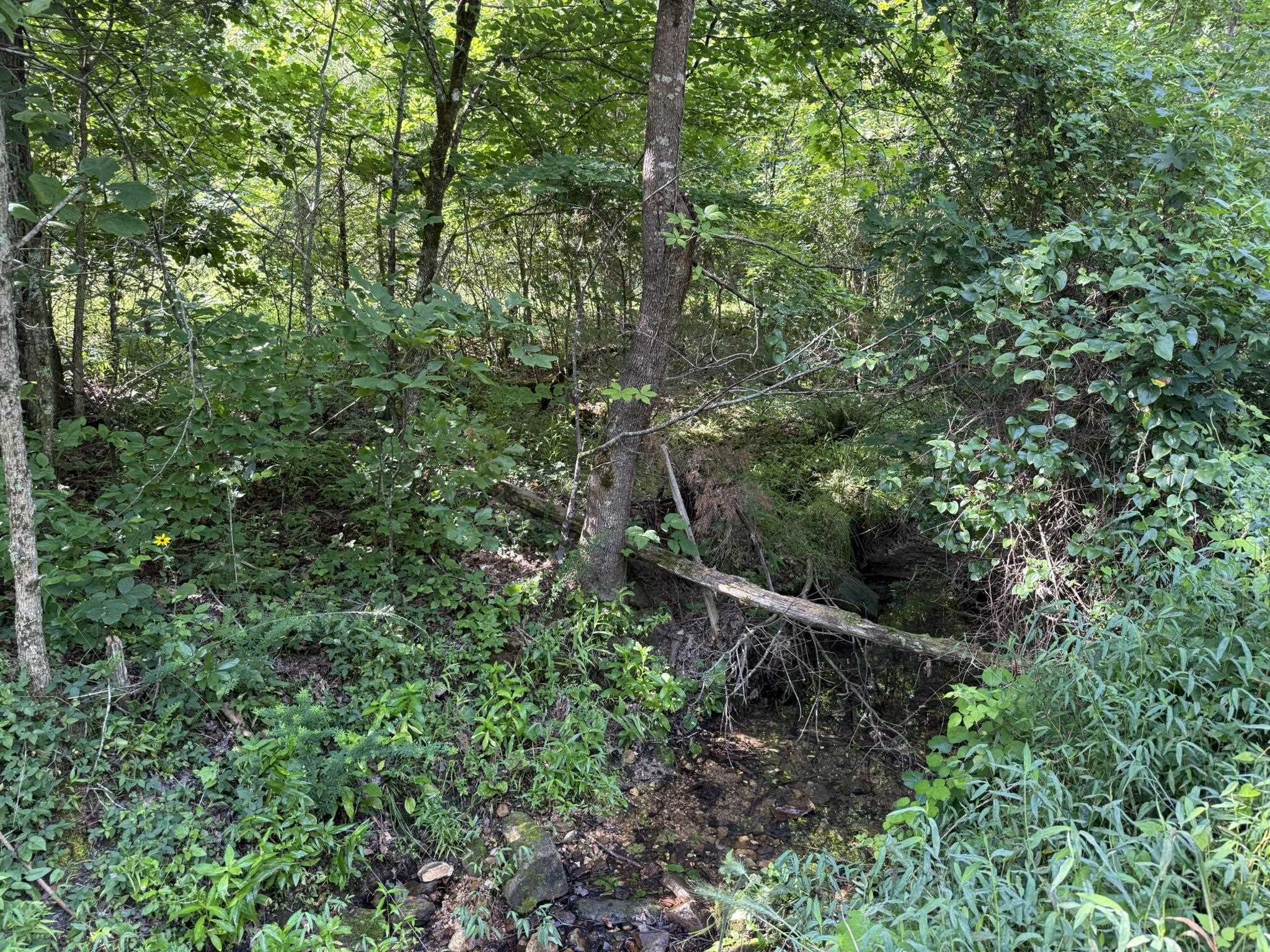 2441 S AR Hwy 9  Melbourne, AR