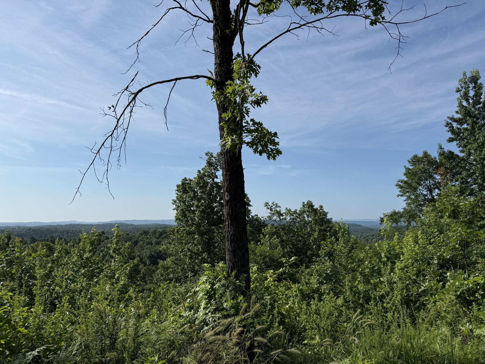 2441 S AR Hwy 9  Melbourne, AR