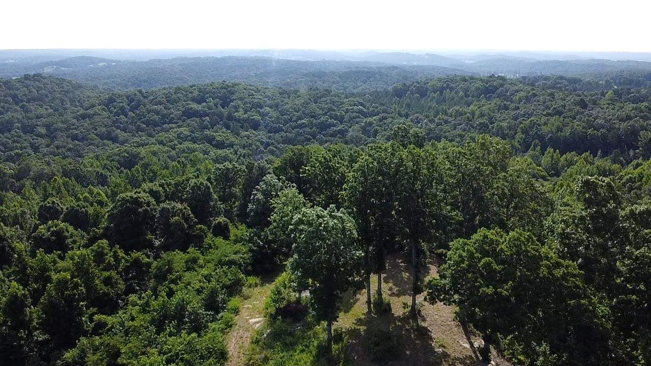 2441 S AR Hwy 9  Melbourne, AR