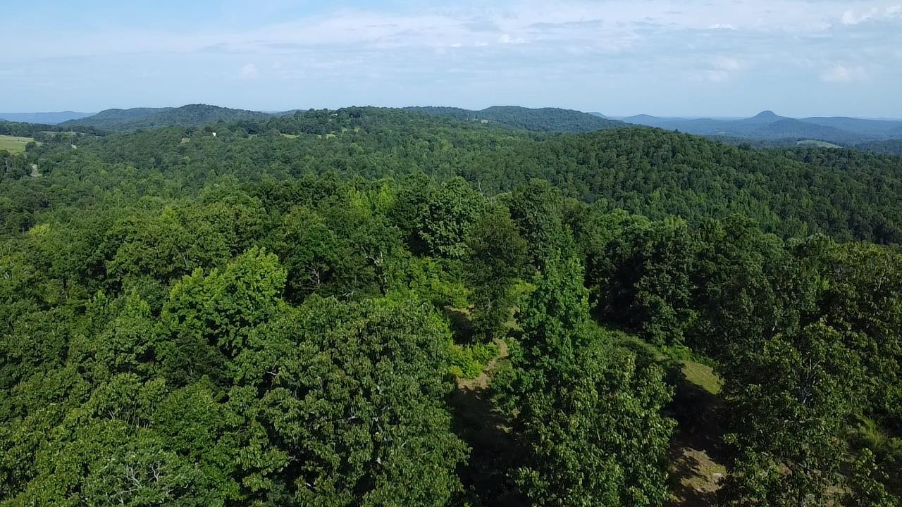 2441 S AR Hwy 9  Melbourne, AR