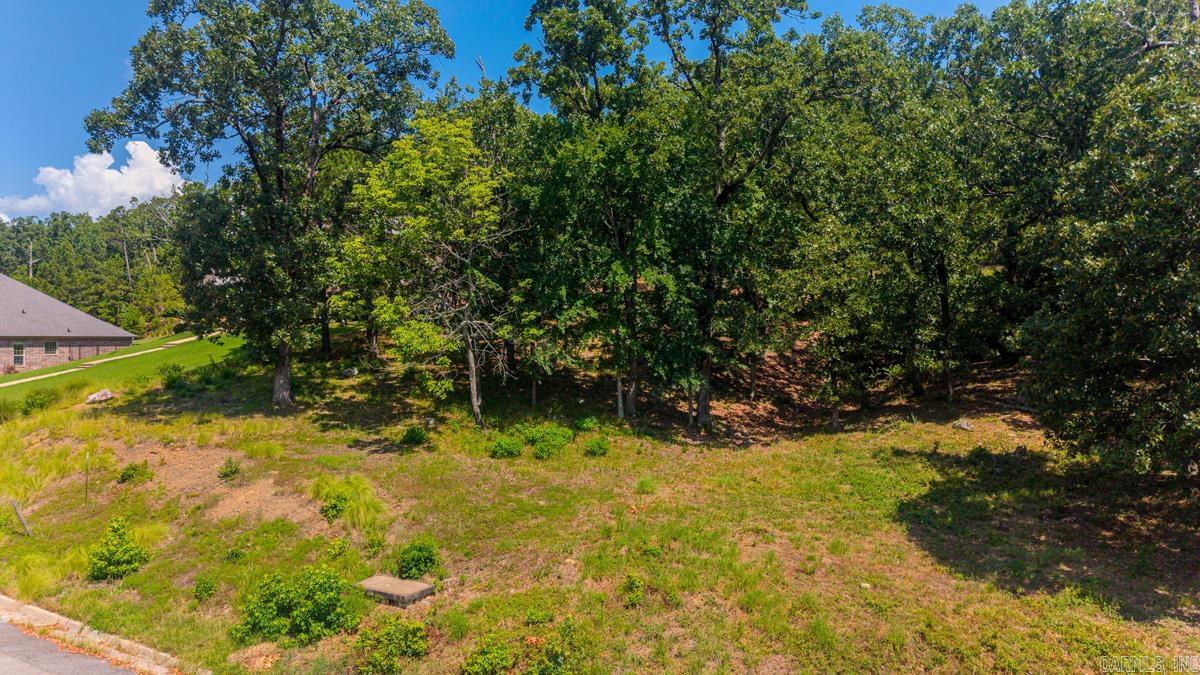 112 Turtle Creek Cv  Maumelle, AR