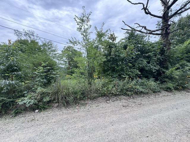 001-06286-001 CR 484  Clarkridge, AR
