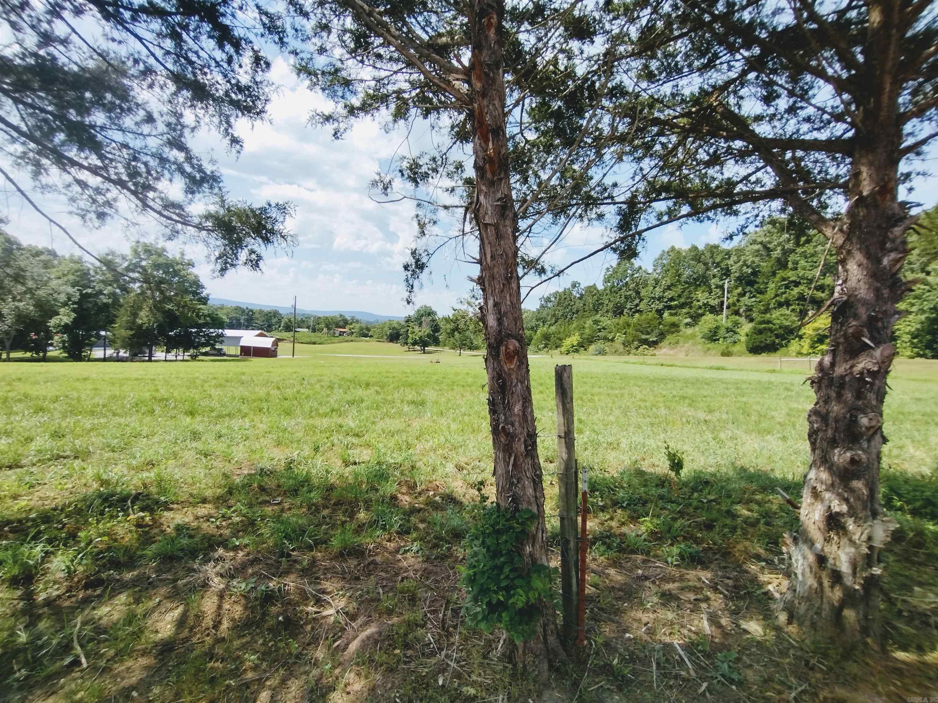 1724 Big Springs RD  Onia, AR