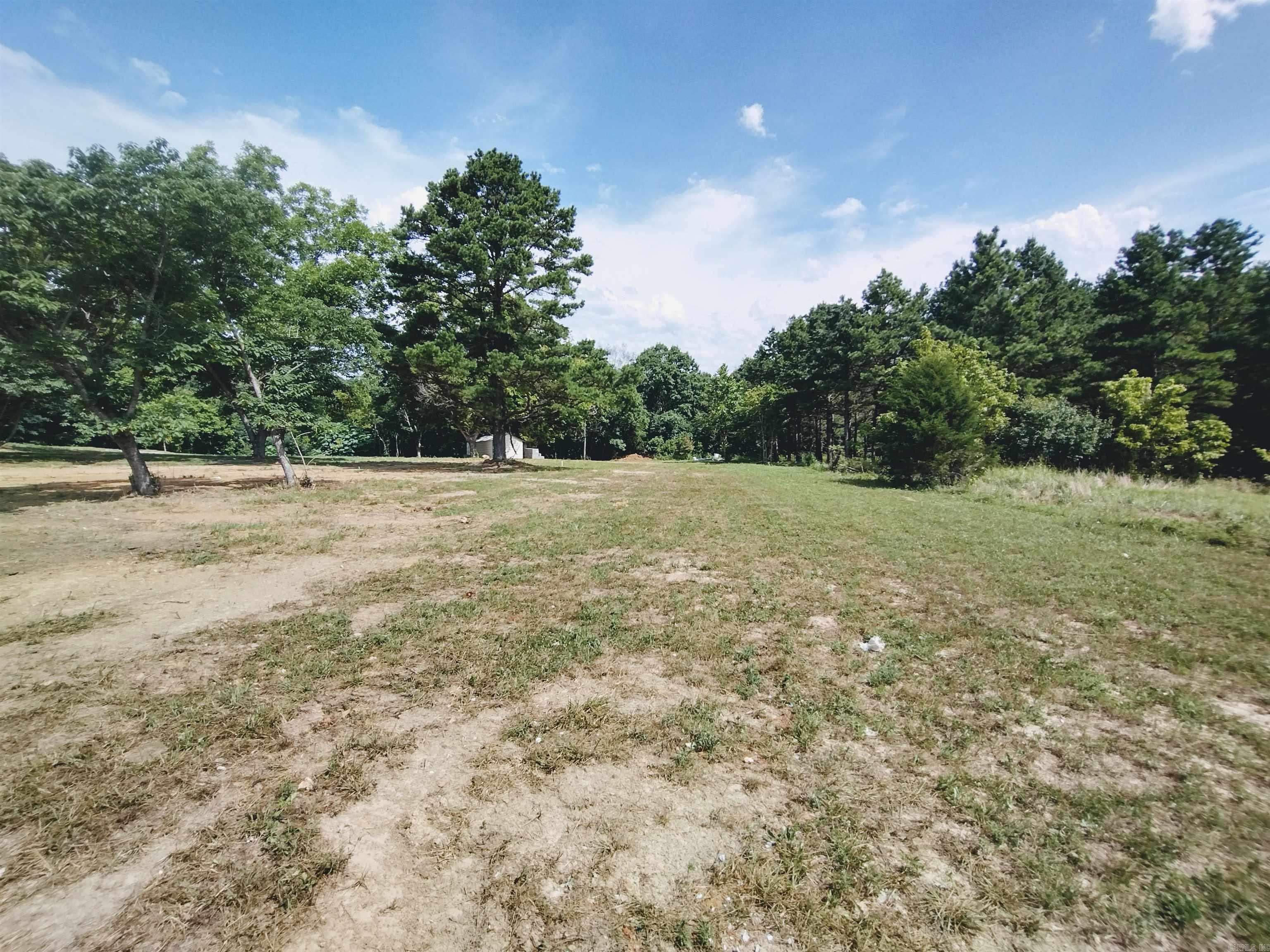 1724 Big Springs RD  Onia, AR