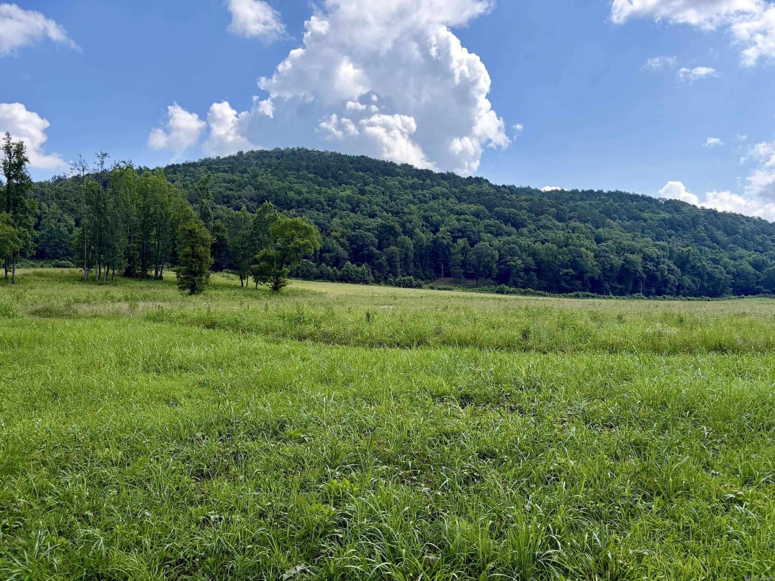 000 CR 5881  Hagarville, AR