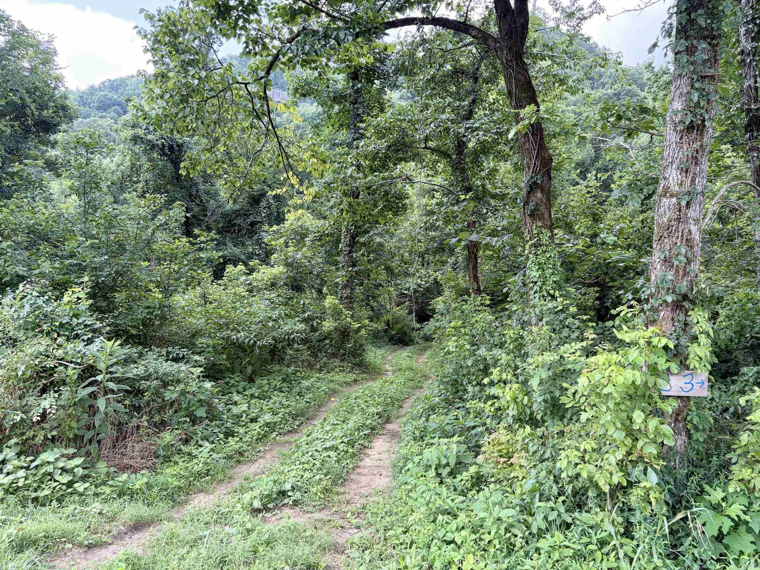 000 CR 5881  Hagarville, AR