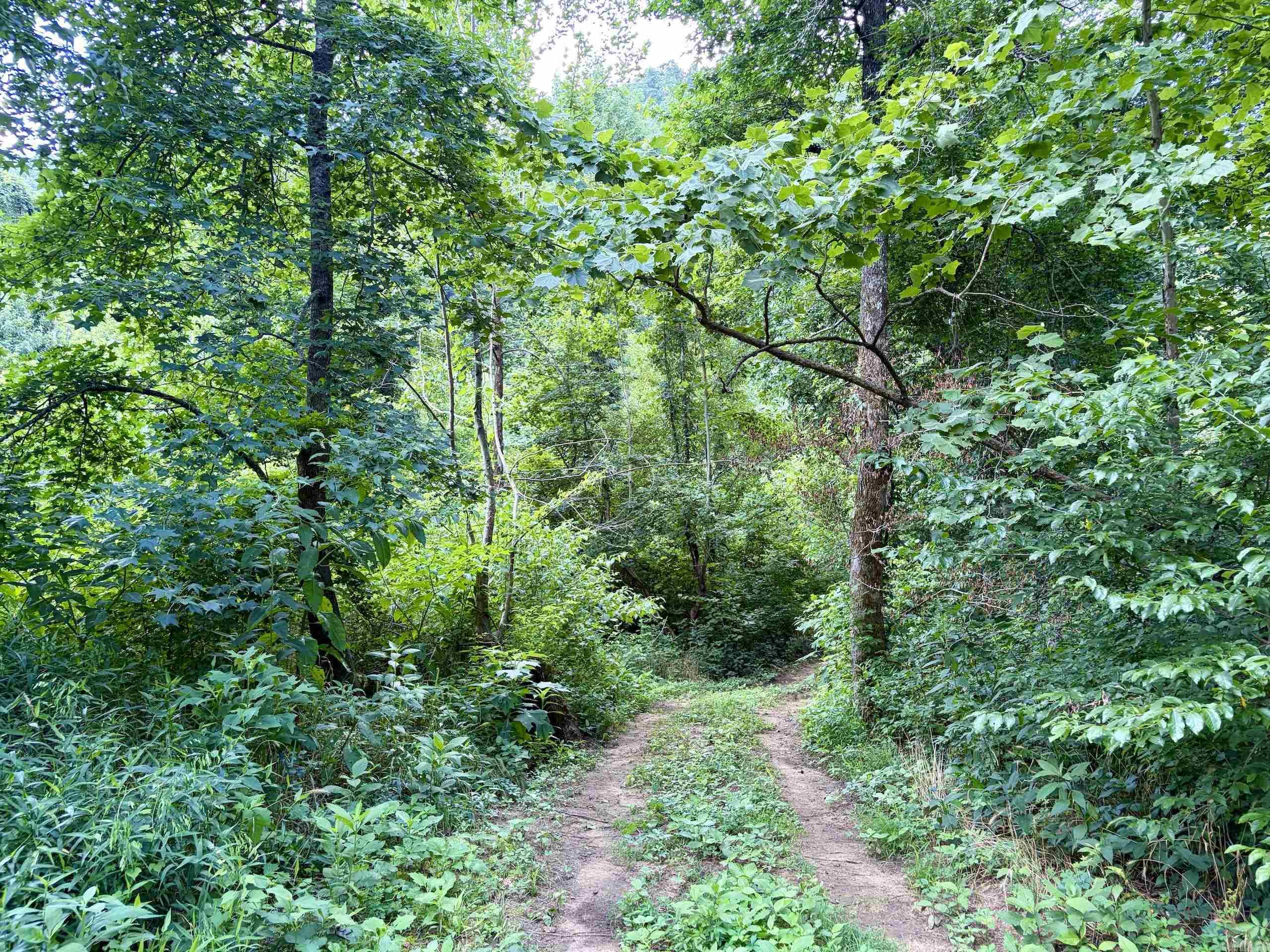 000 CR 5881  Hagarville, AR