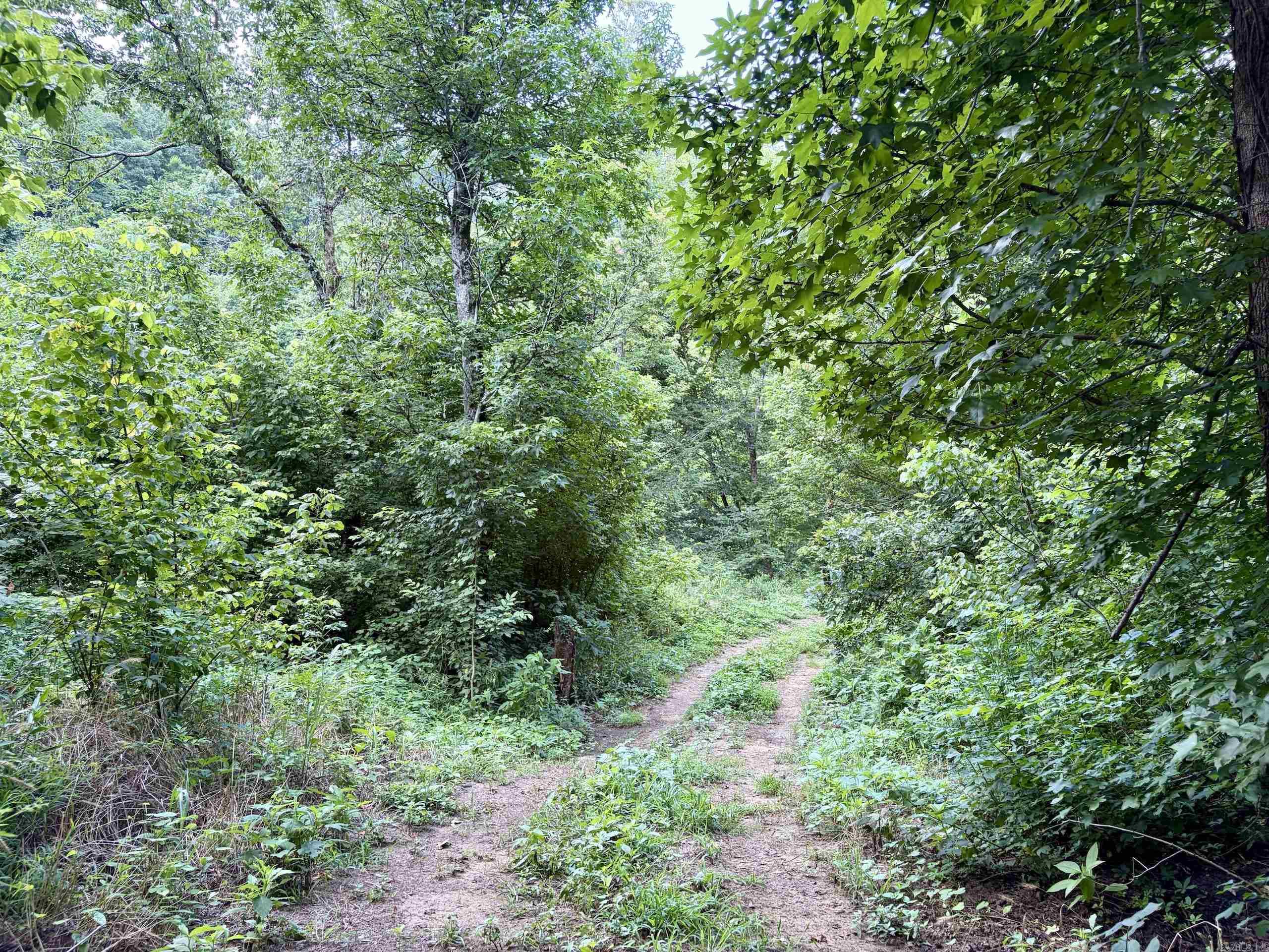 000 CR 5881  Hagarville, AR