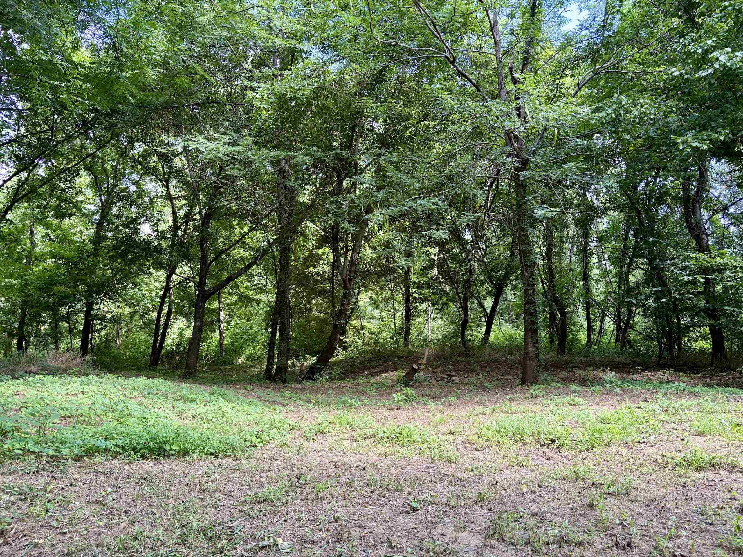 000 CR 5881  Hagarville, AR