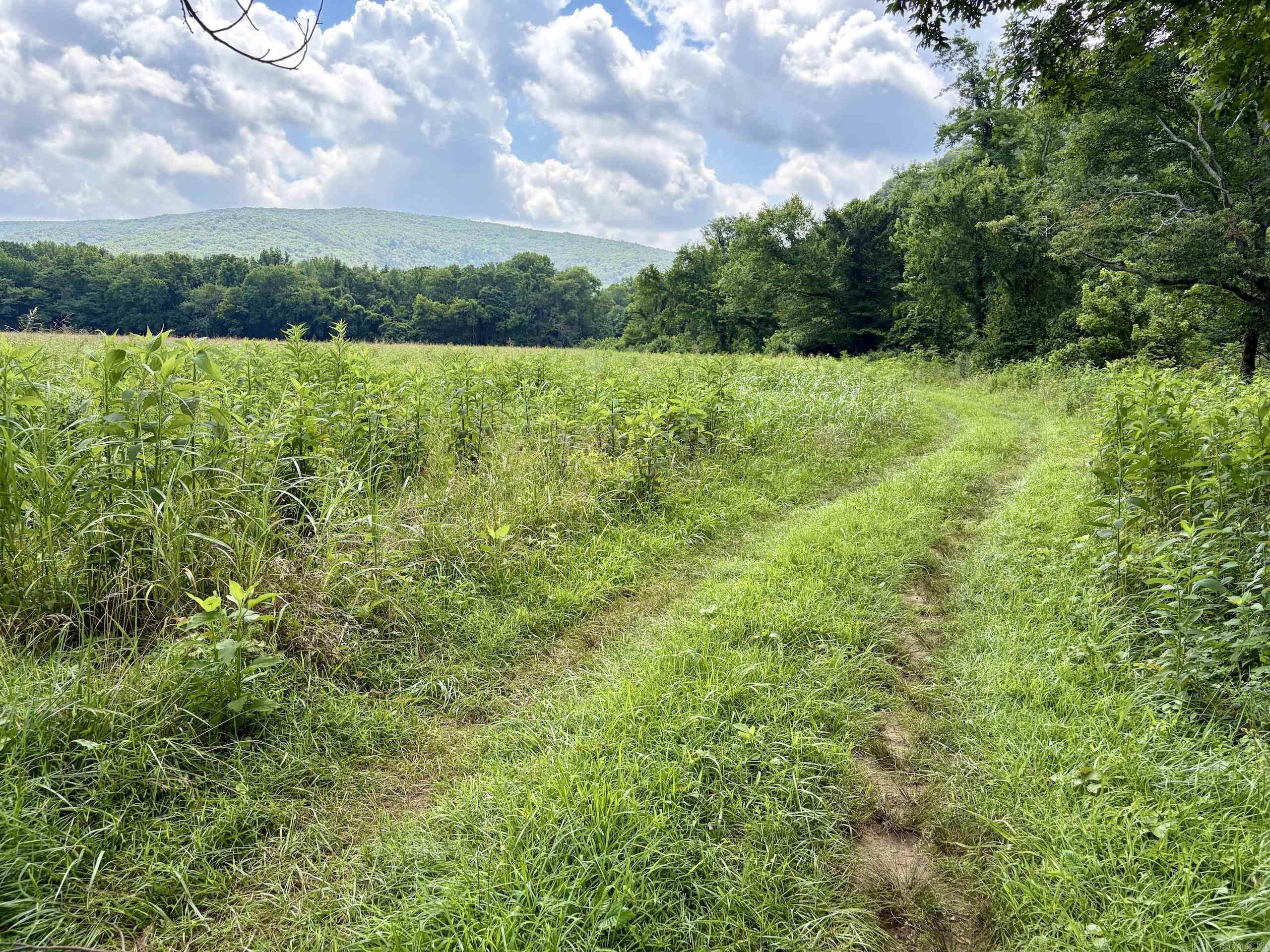 000 CR 5881  Hagarville, AR