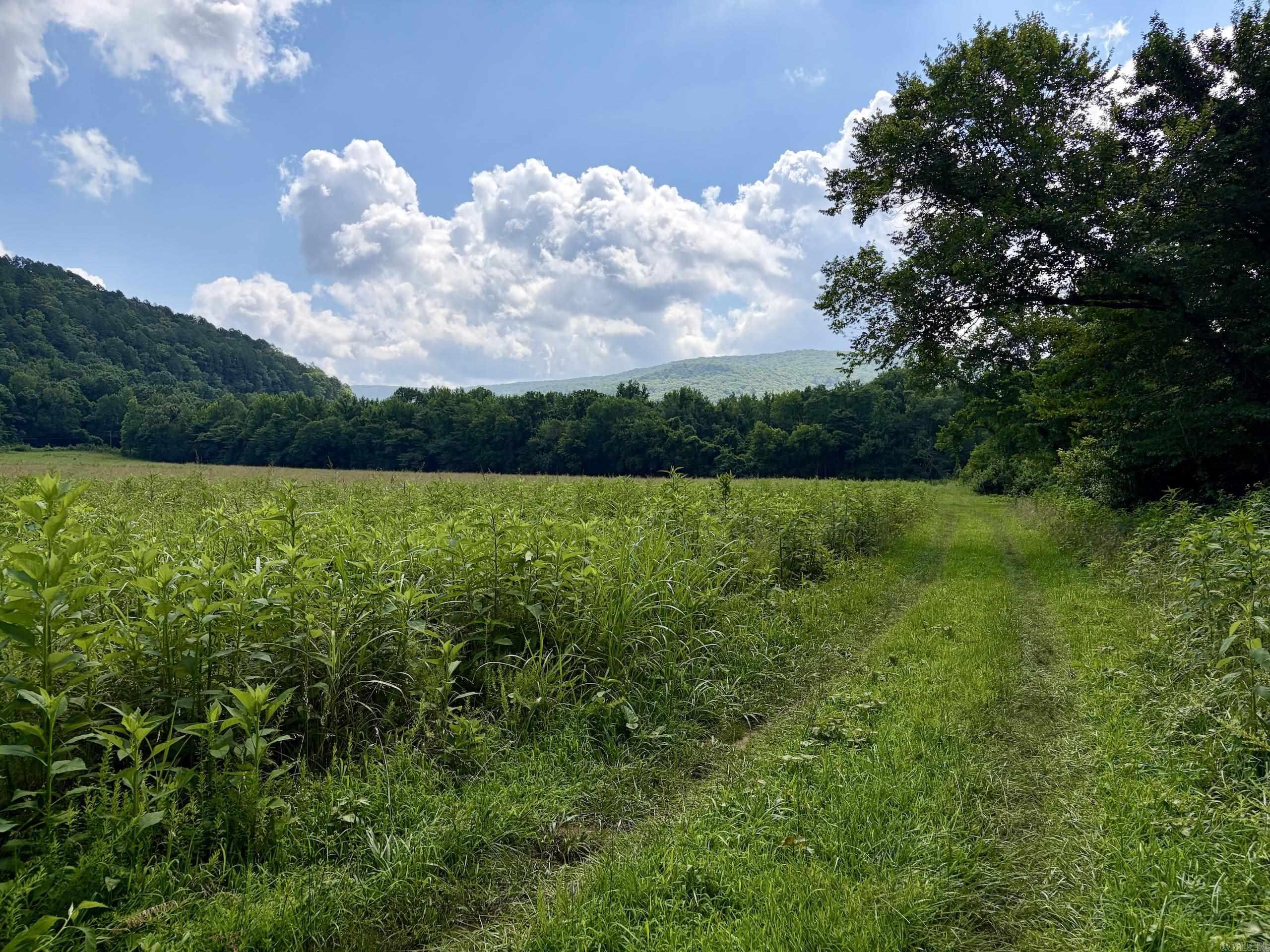 000 CR 5881  Hagarville, AR