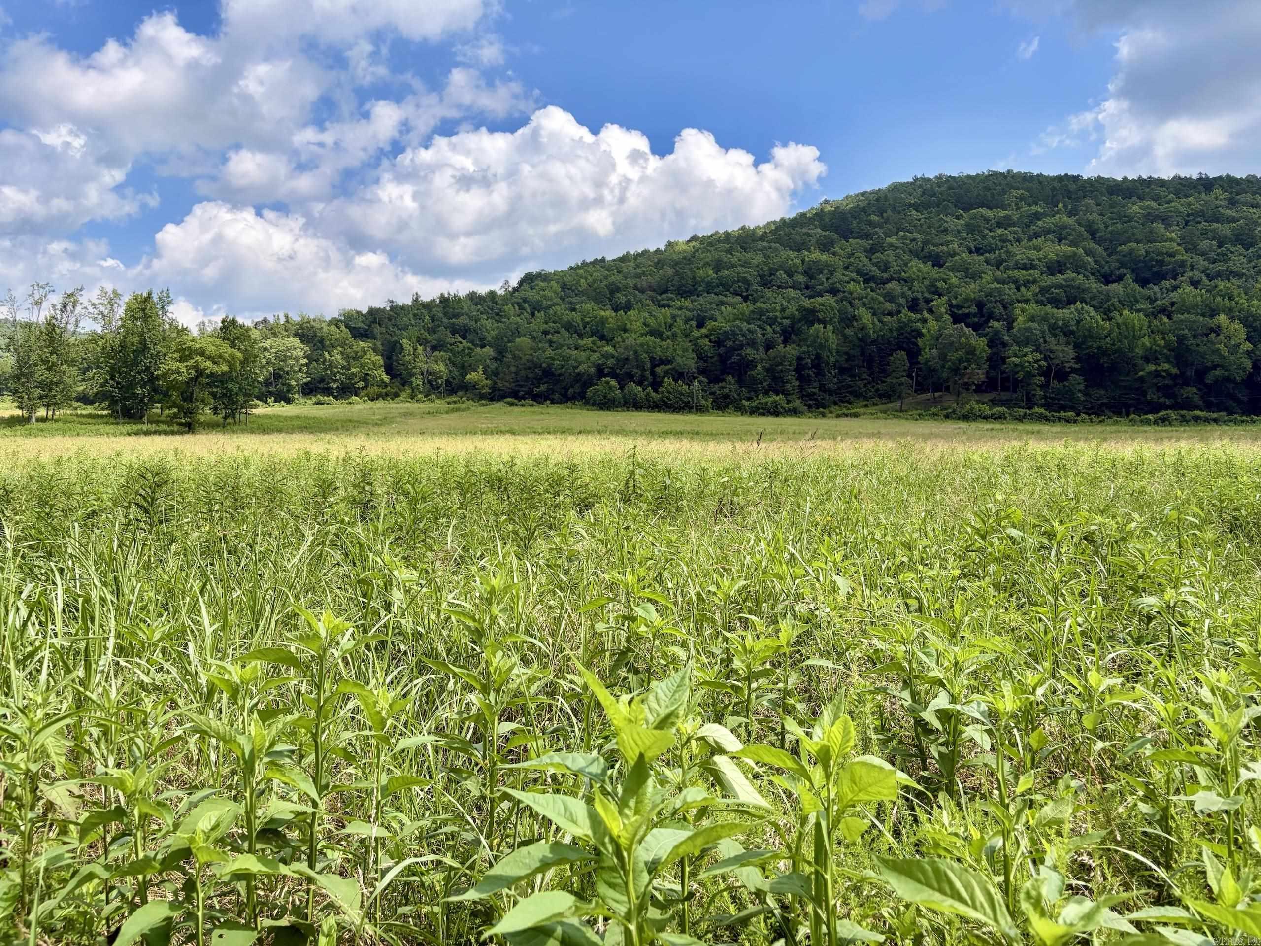000 CR 5881  Hagarville, AR