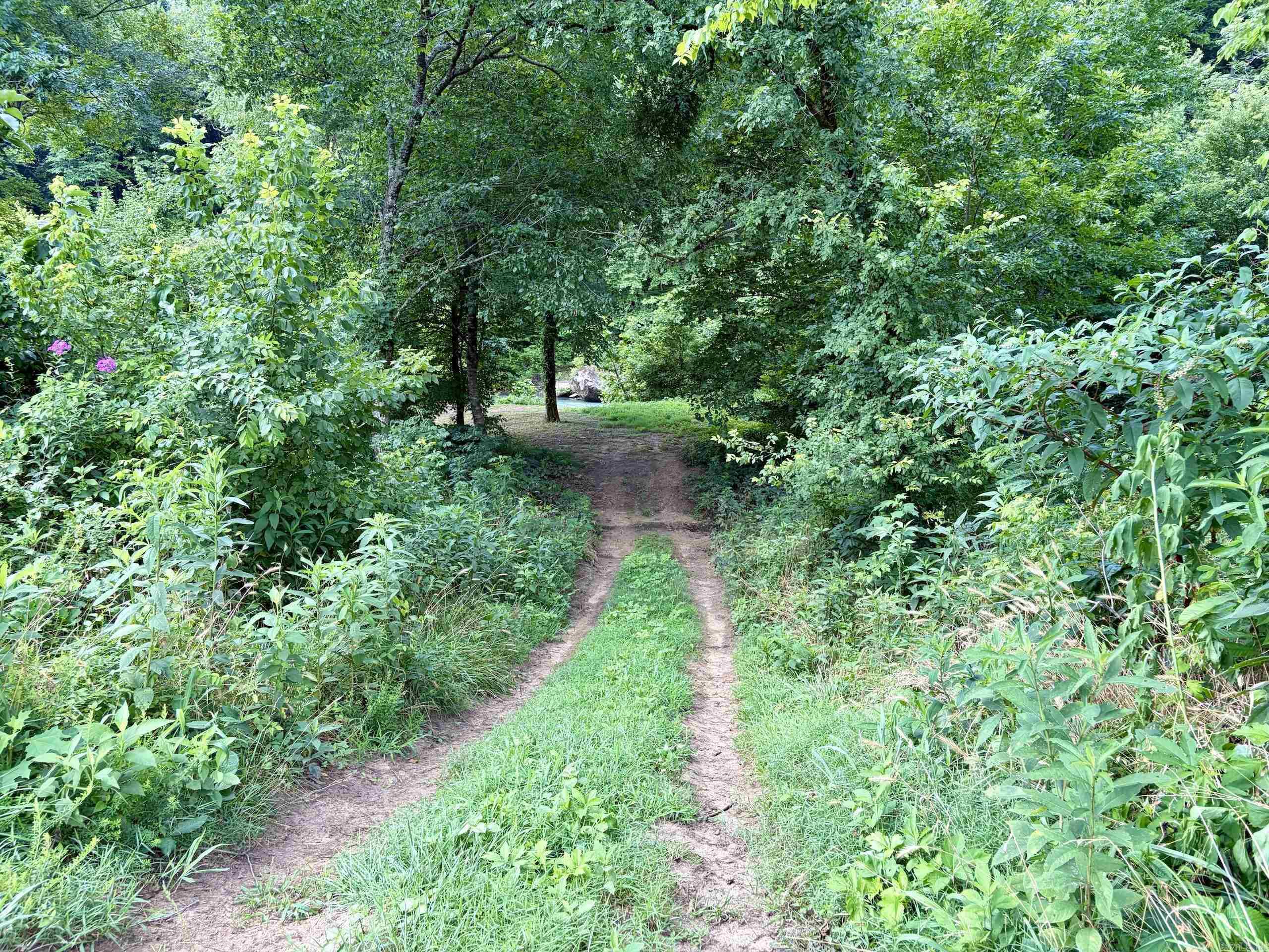 000 CR 5881  Hagarville, AR
