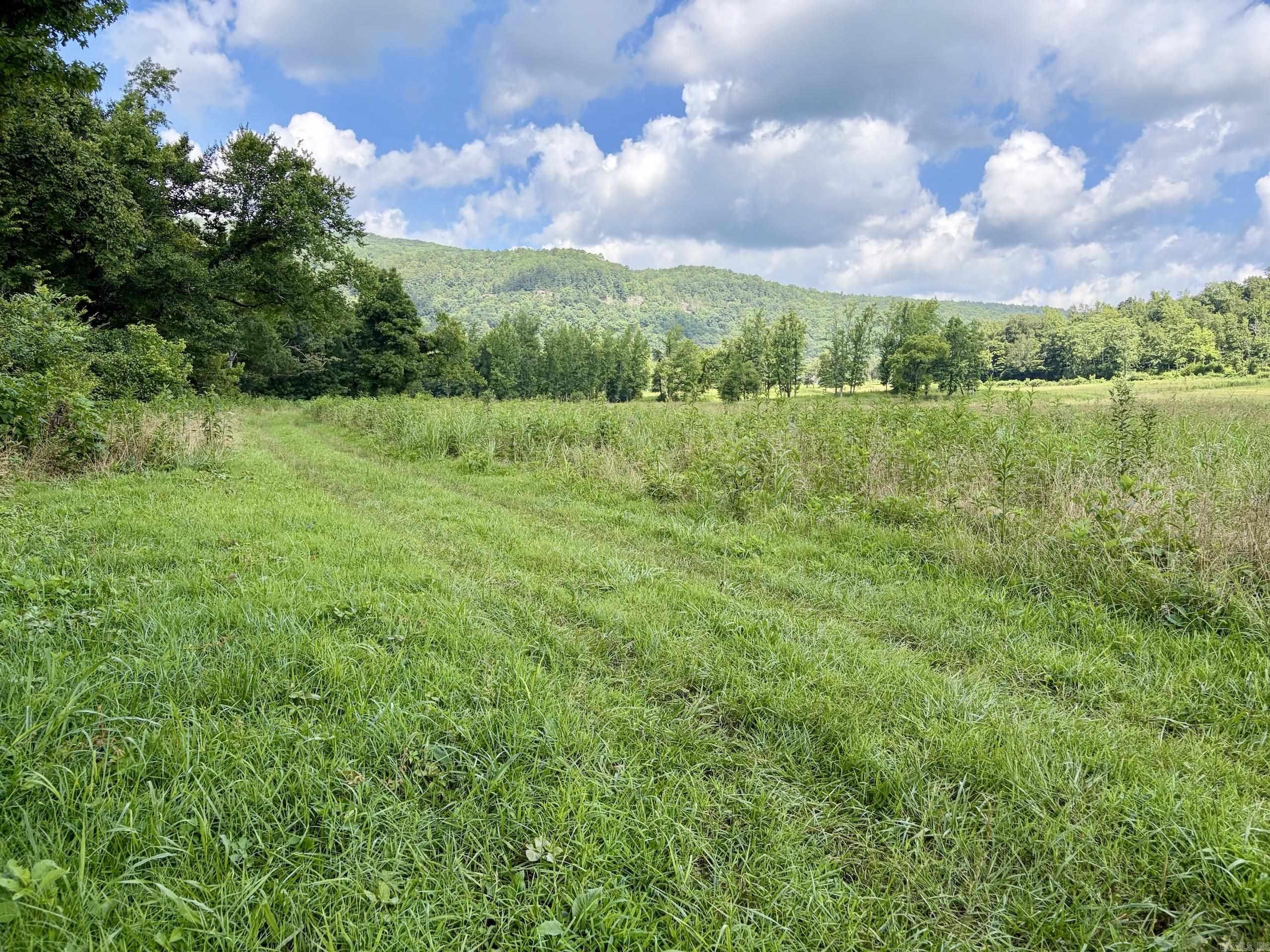 000 CR 5881  Hagarville, AR