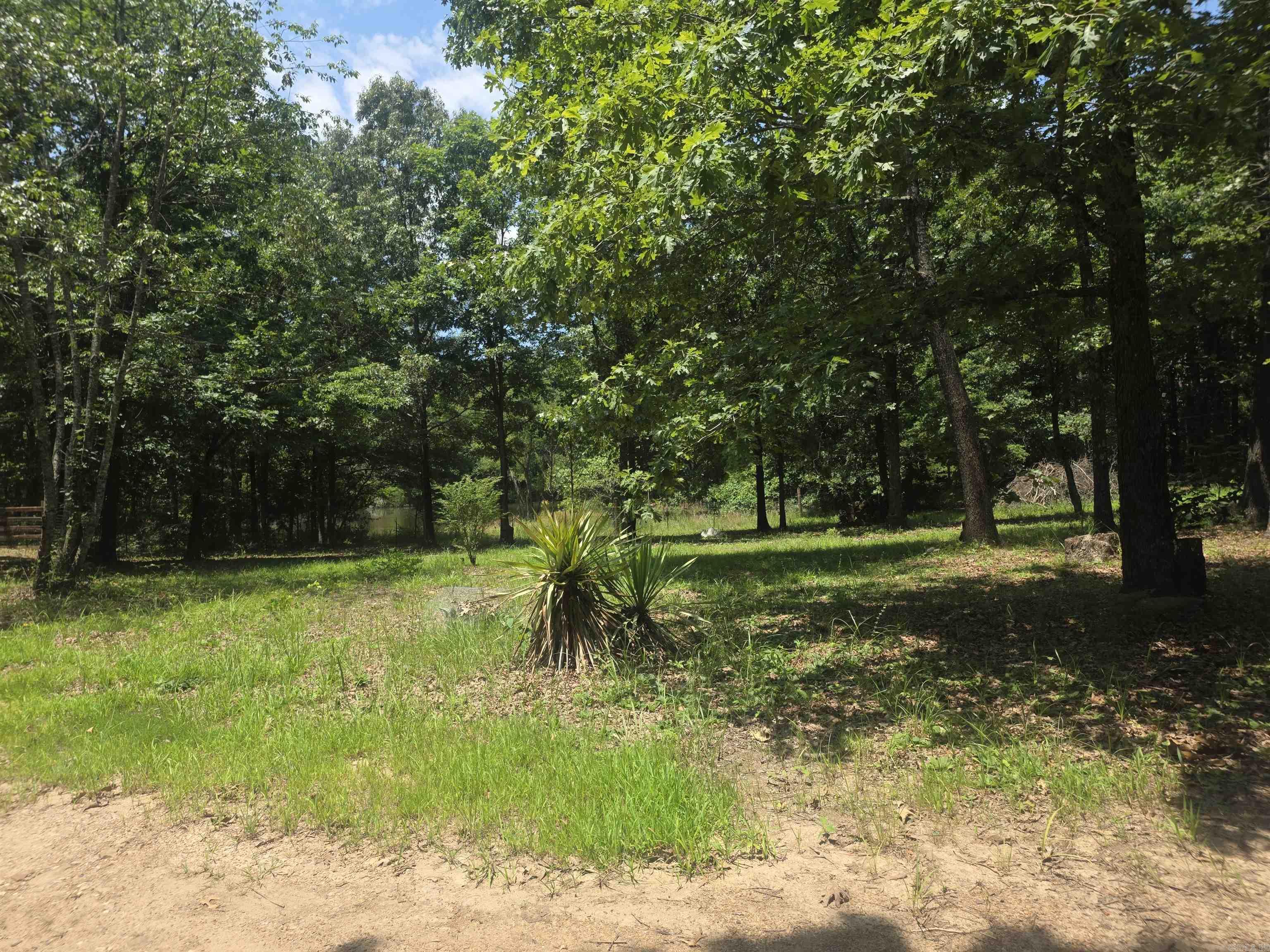 125 Gardenia  Mena, AR