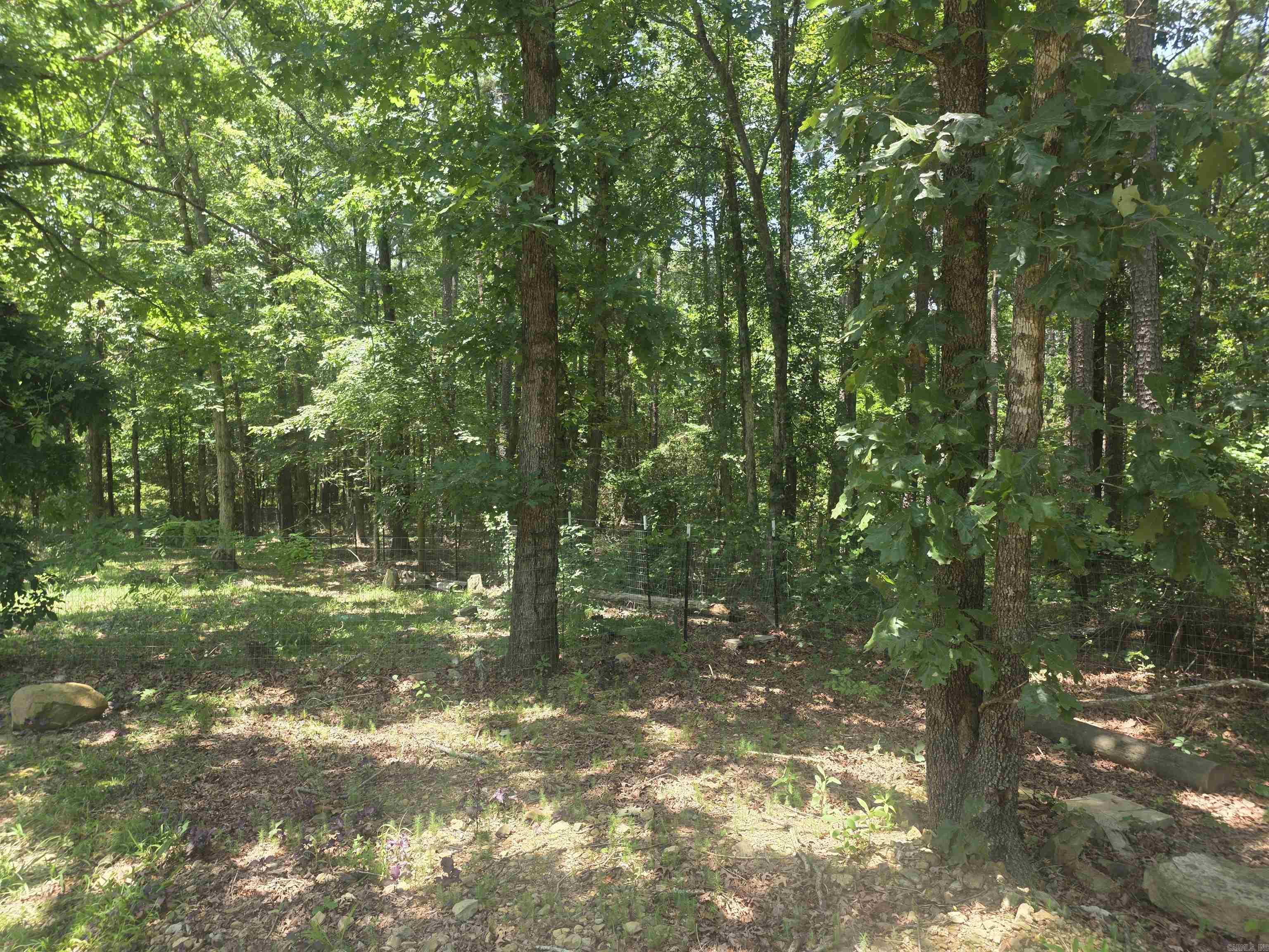125 Gardenia  Mena, AR