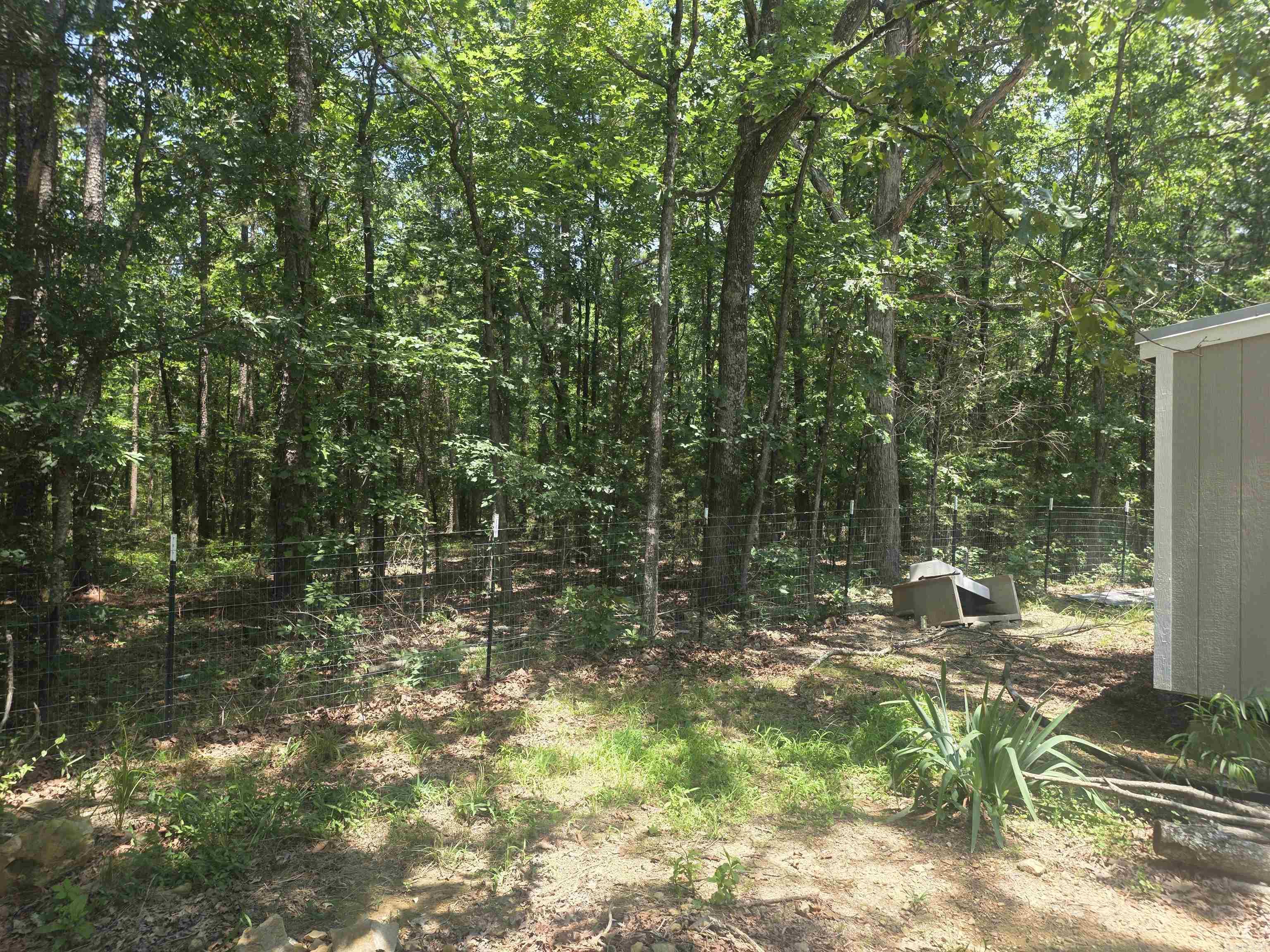 125 Gardenia  Mena, AR