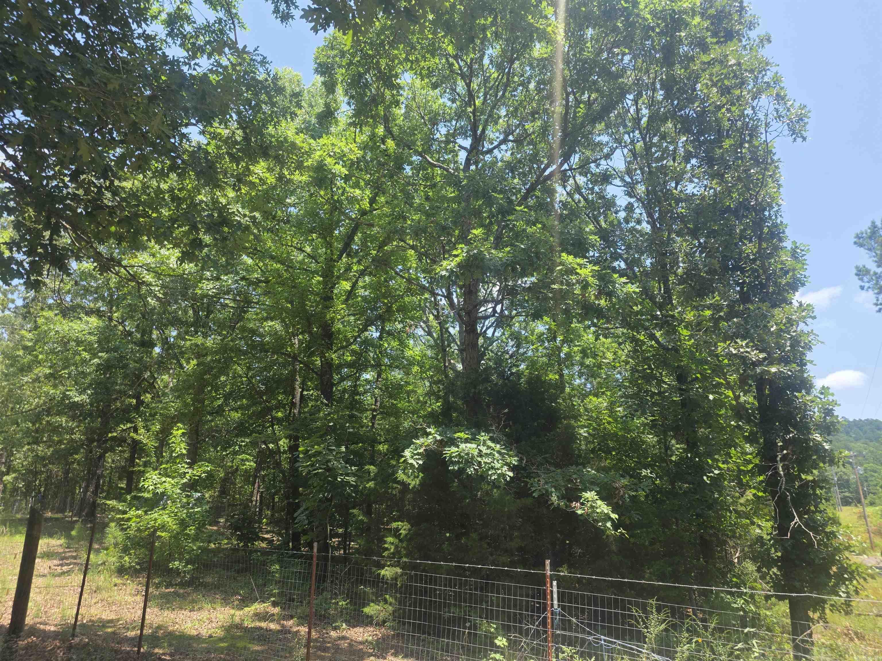 125 Gardenia  Mena, AR