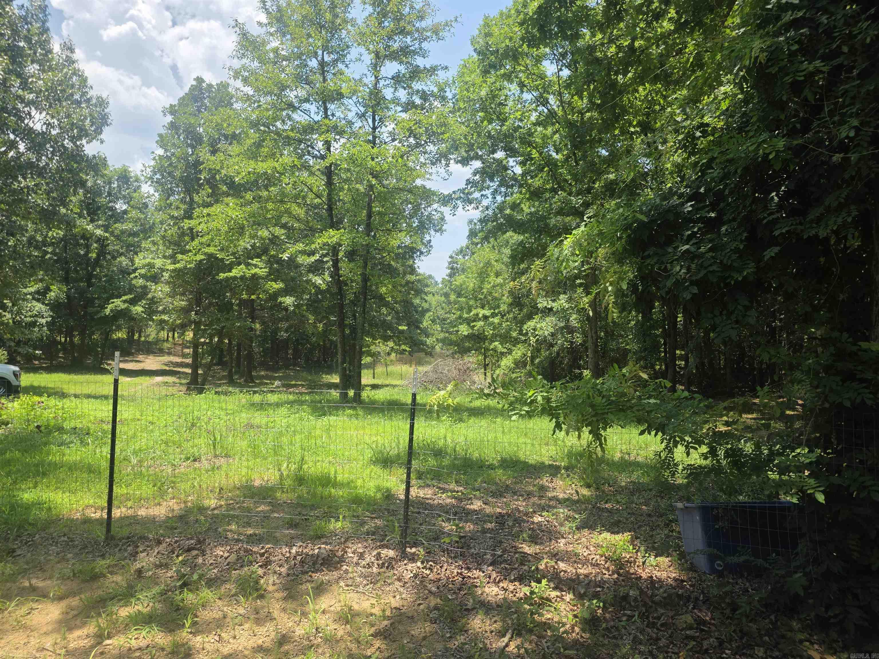 125 Gardenia  Mena, AR