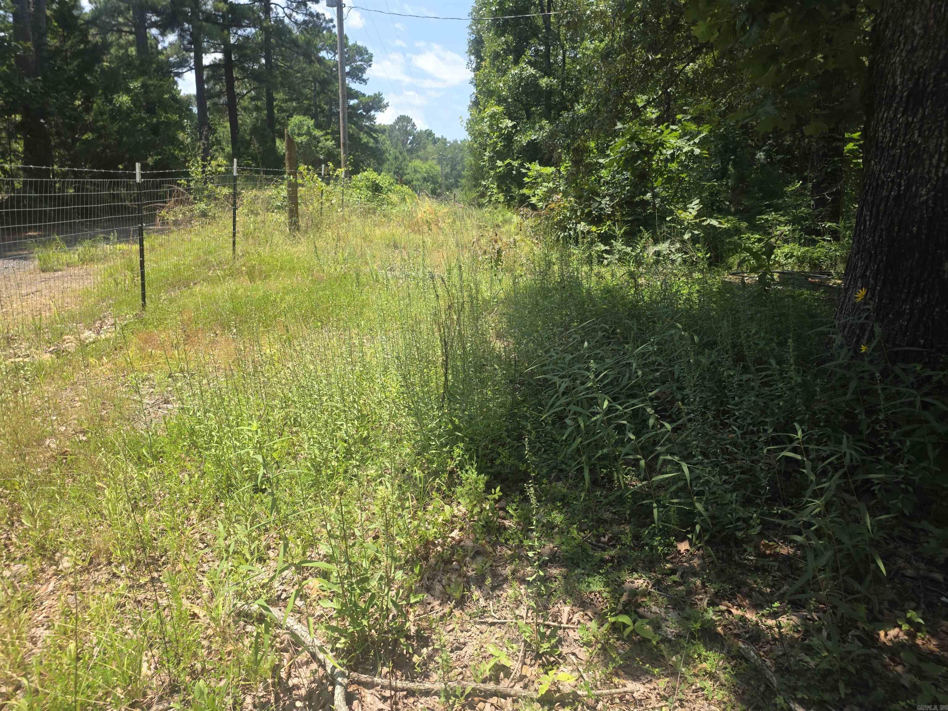 125 Gardenia  Mena, AR